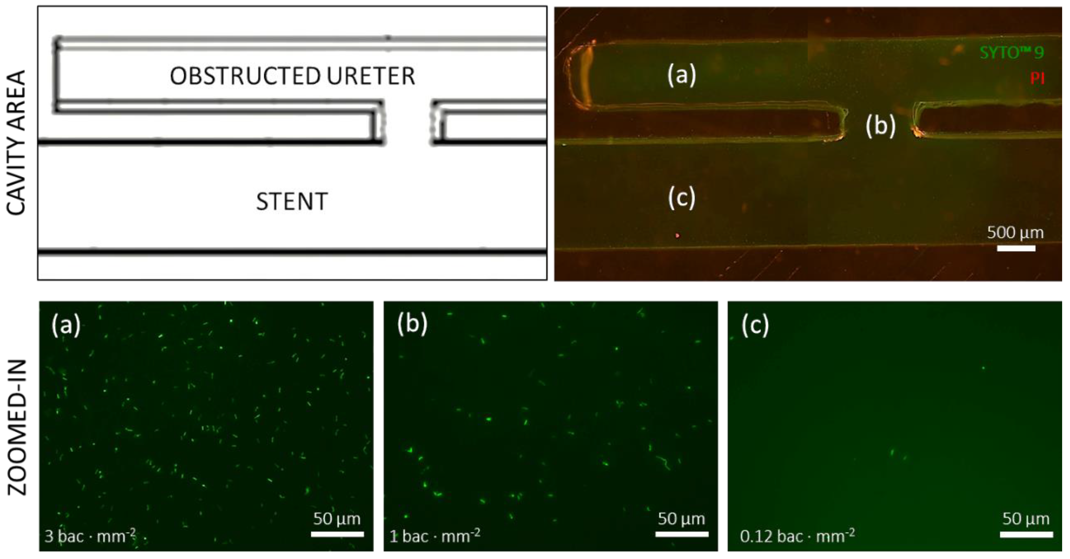 Micromachines 11 00408 g004