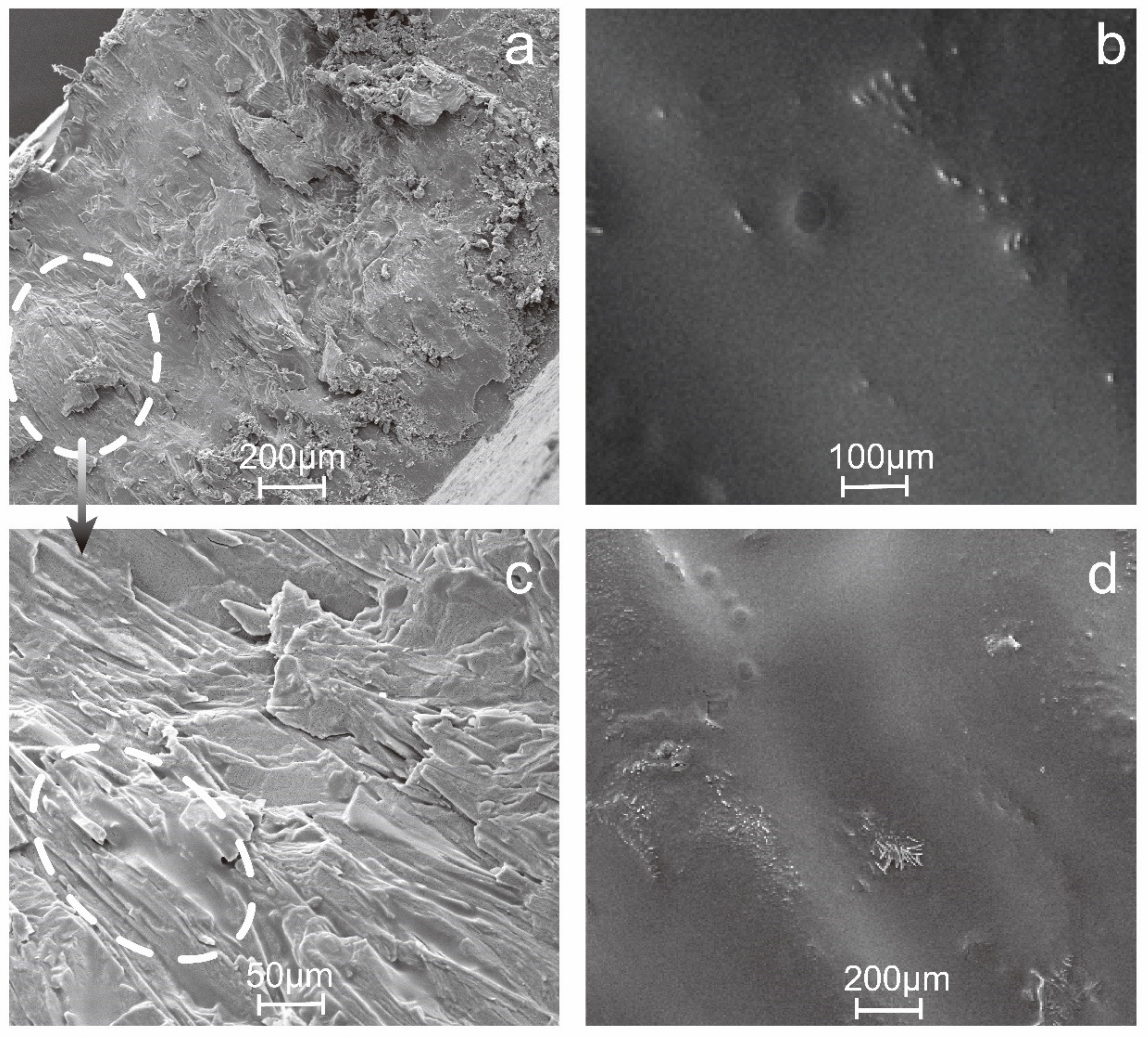 Micromachines 11 00415 g004 Micromachines 11 00415 g004