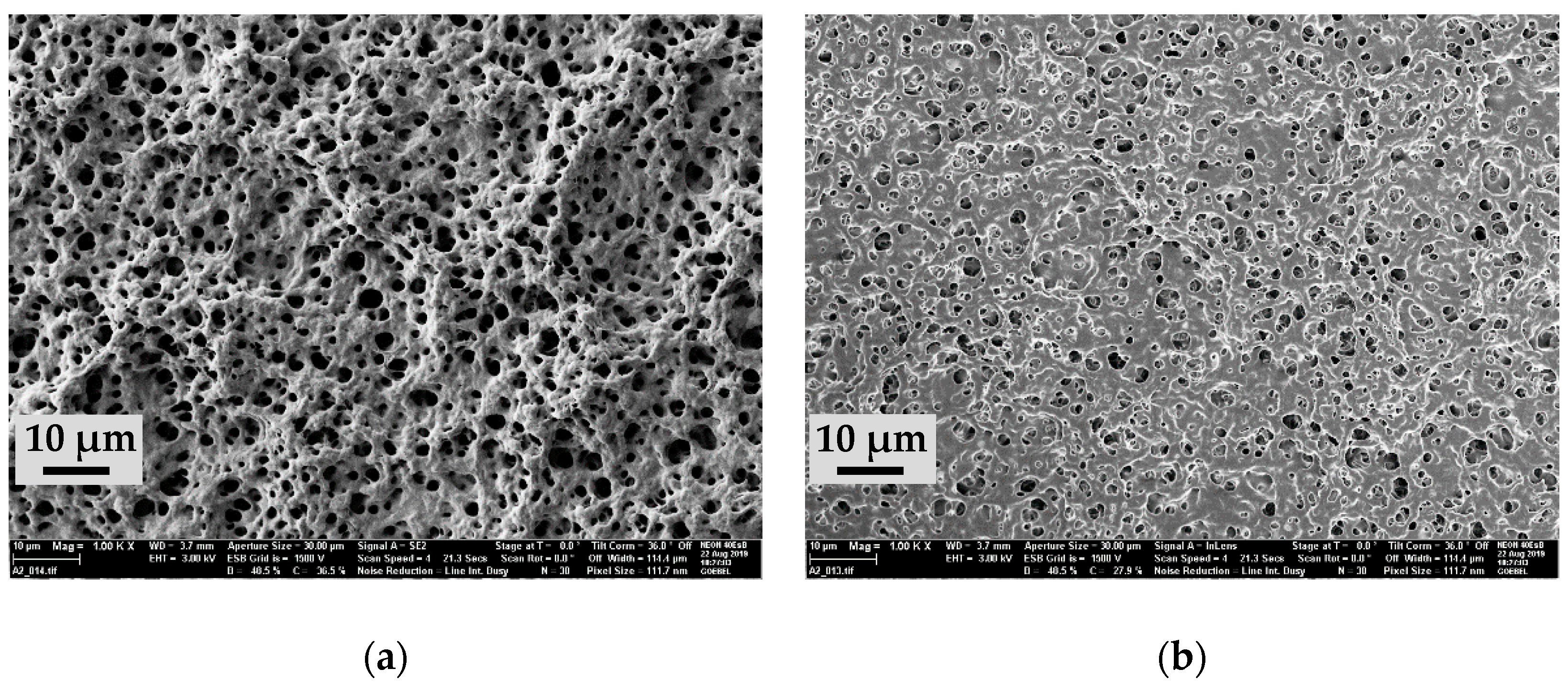 Micromachines 11 00425 g002 Micromachines 11 00425 g002
