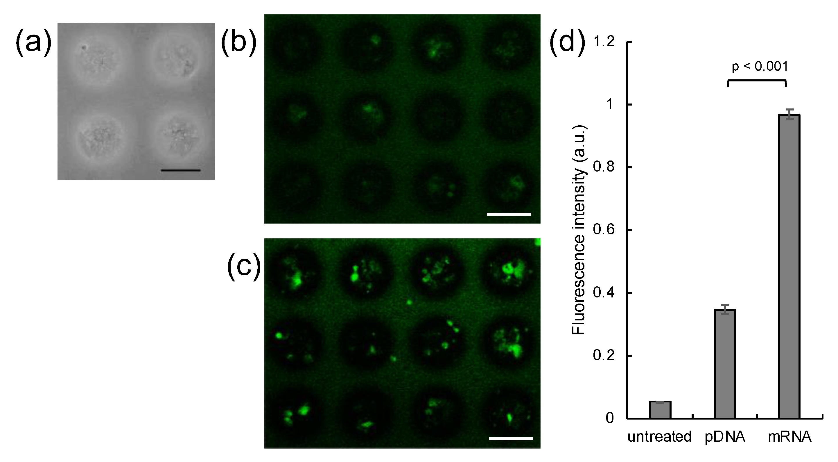 Micromachines 11 00426 g001