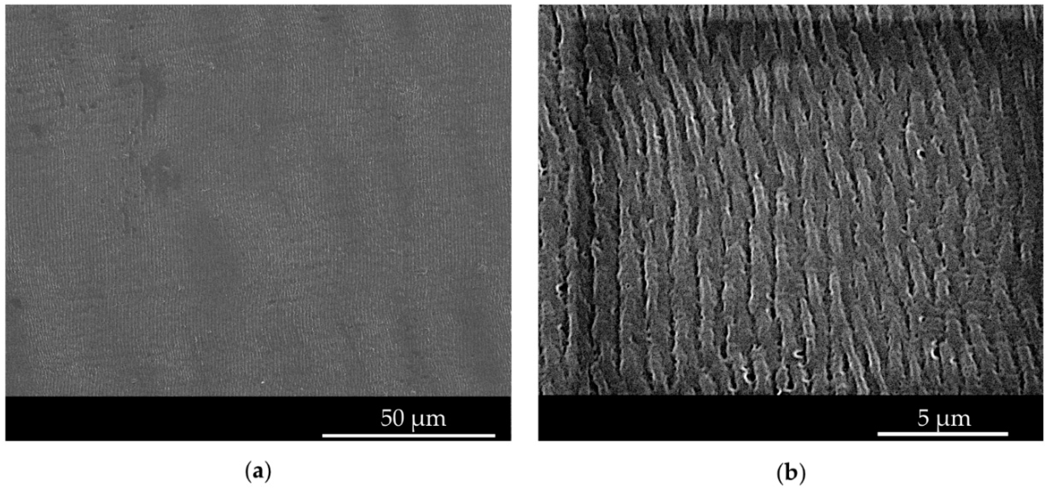 Micromachines 11 00429 g007