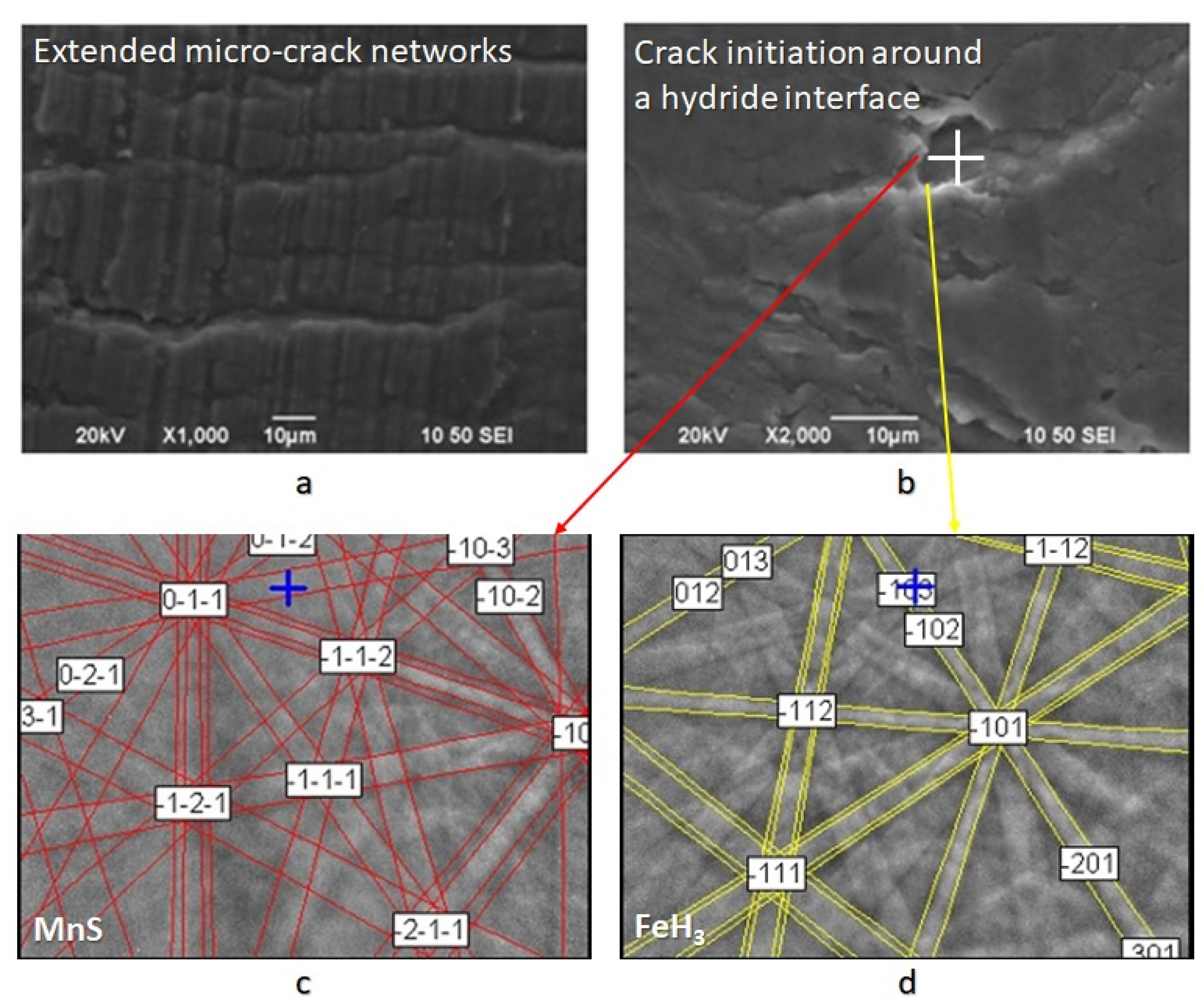 Micromachines 11 00430 g008