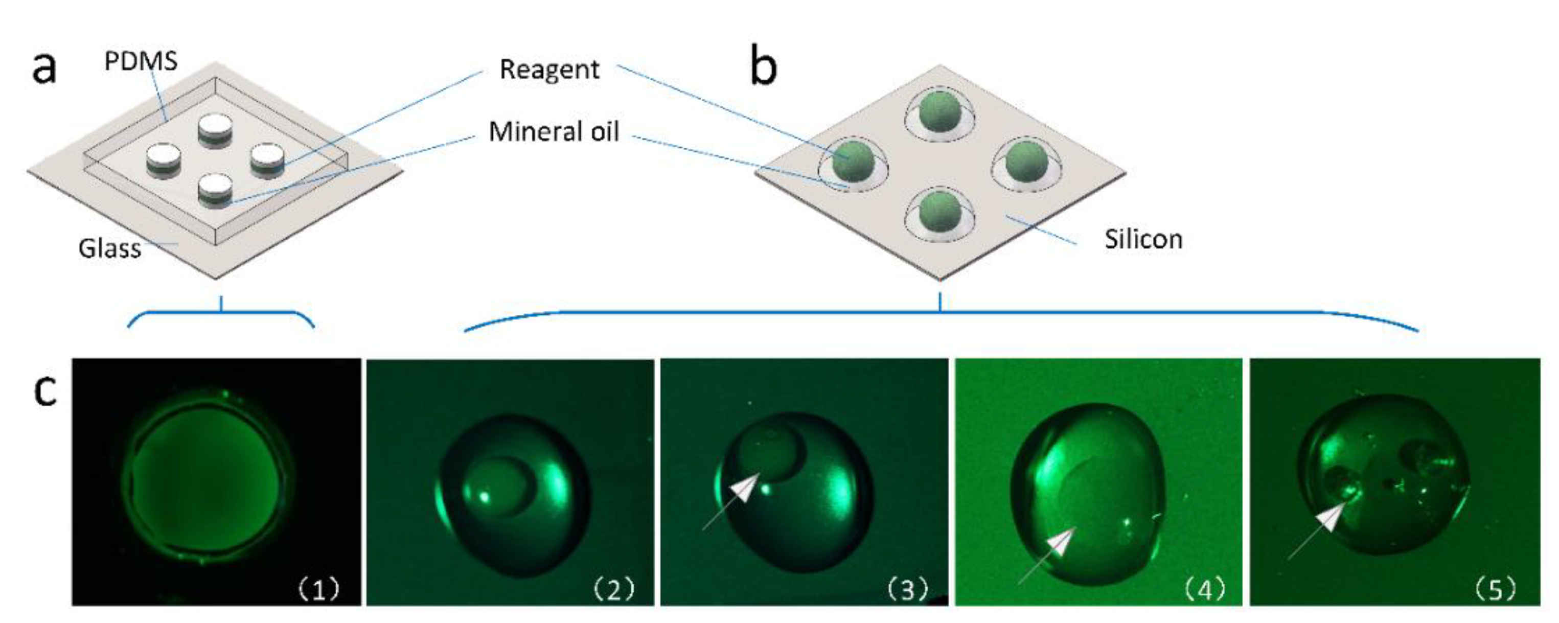 Micromachines 11 00435 g002