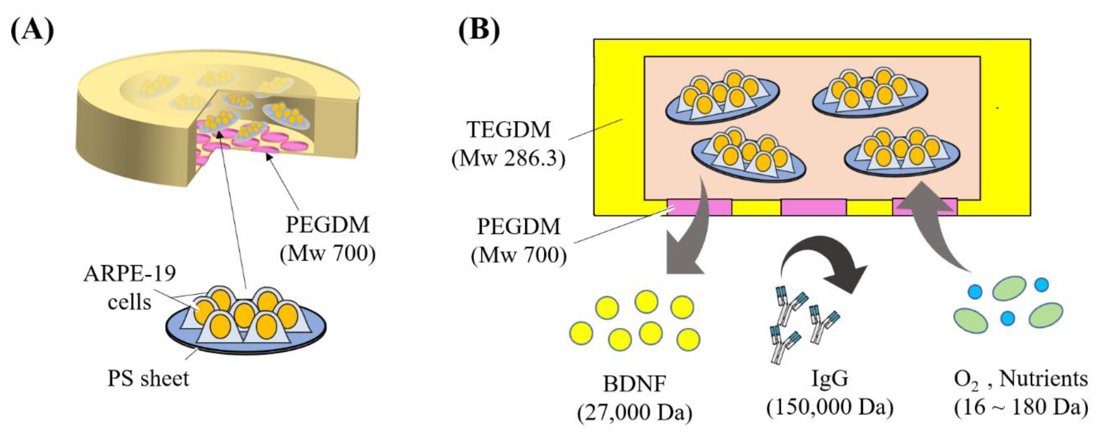 Micromachines 11 00436 g001 Micromachines 11 00436 g001