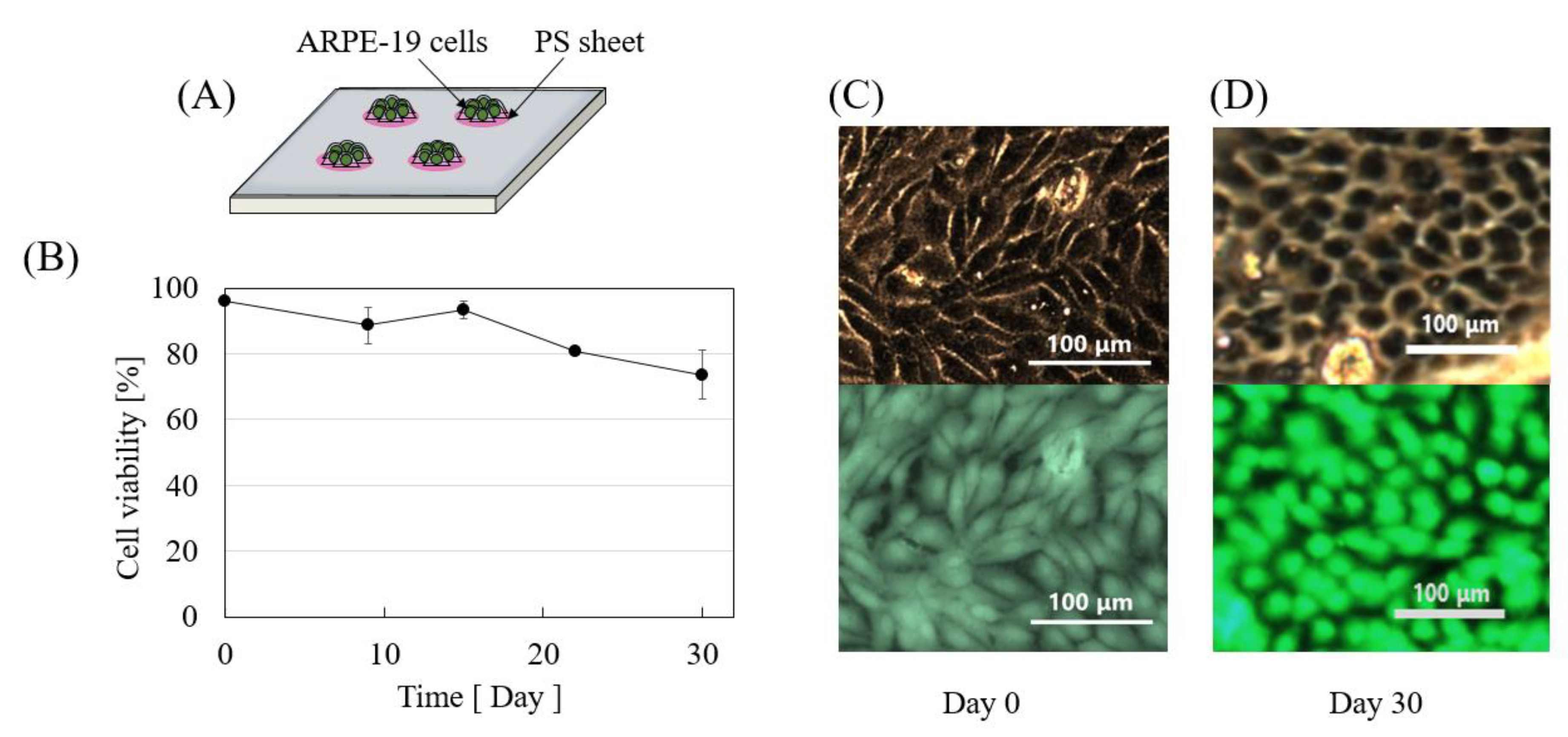 Micromachines 11 00436 g004 Micromachines 11 00436 g004