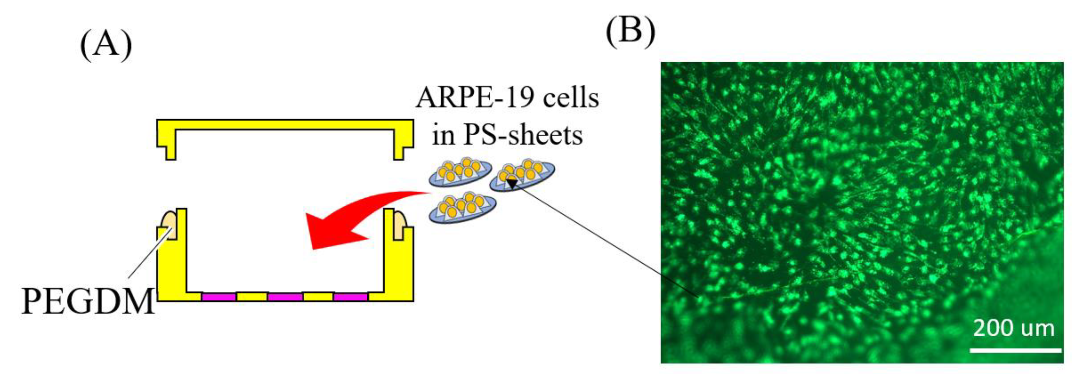Micromachines 11 00436 g005 Micromachines 11 00436 g005