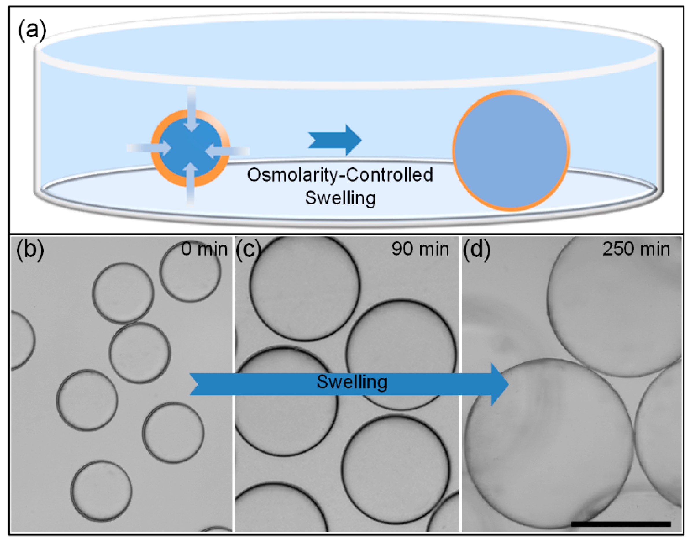 Micromachines 11 00444 g004 Micromachines 11 00444 g004