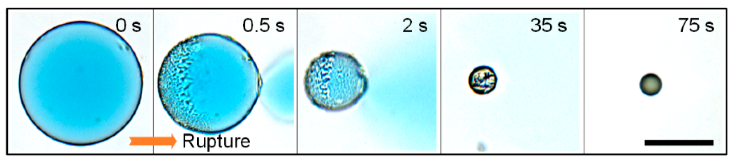 Micromachines 11 00444 g005 Micromachines 11 00444 g005