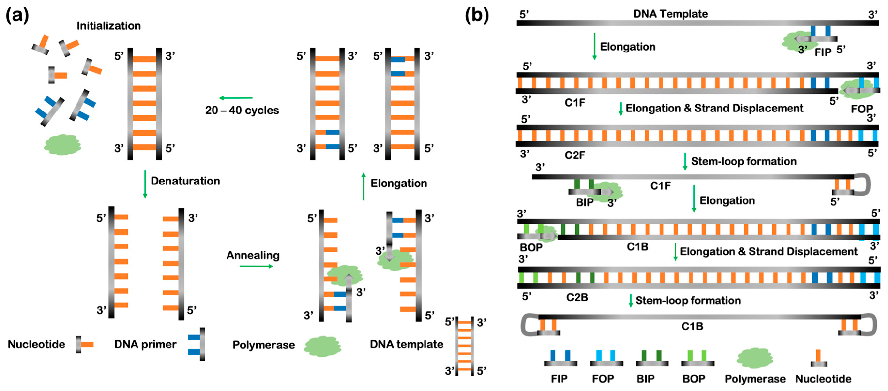 Micromachines 11 00445 g003 Micromachines 11 00445 g003
