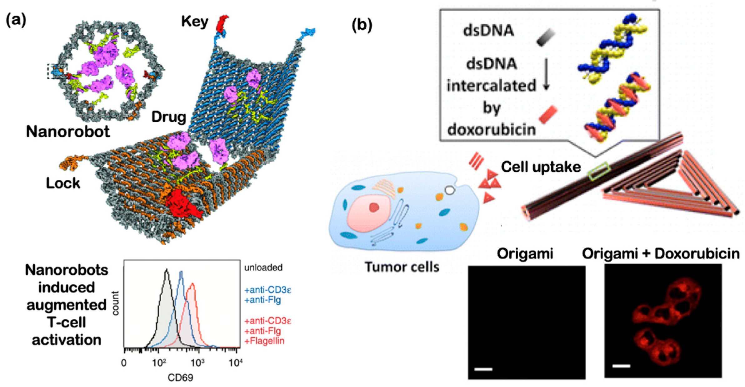 Micromachines 11 00445 g009 Micromachines 11 00445 g009