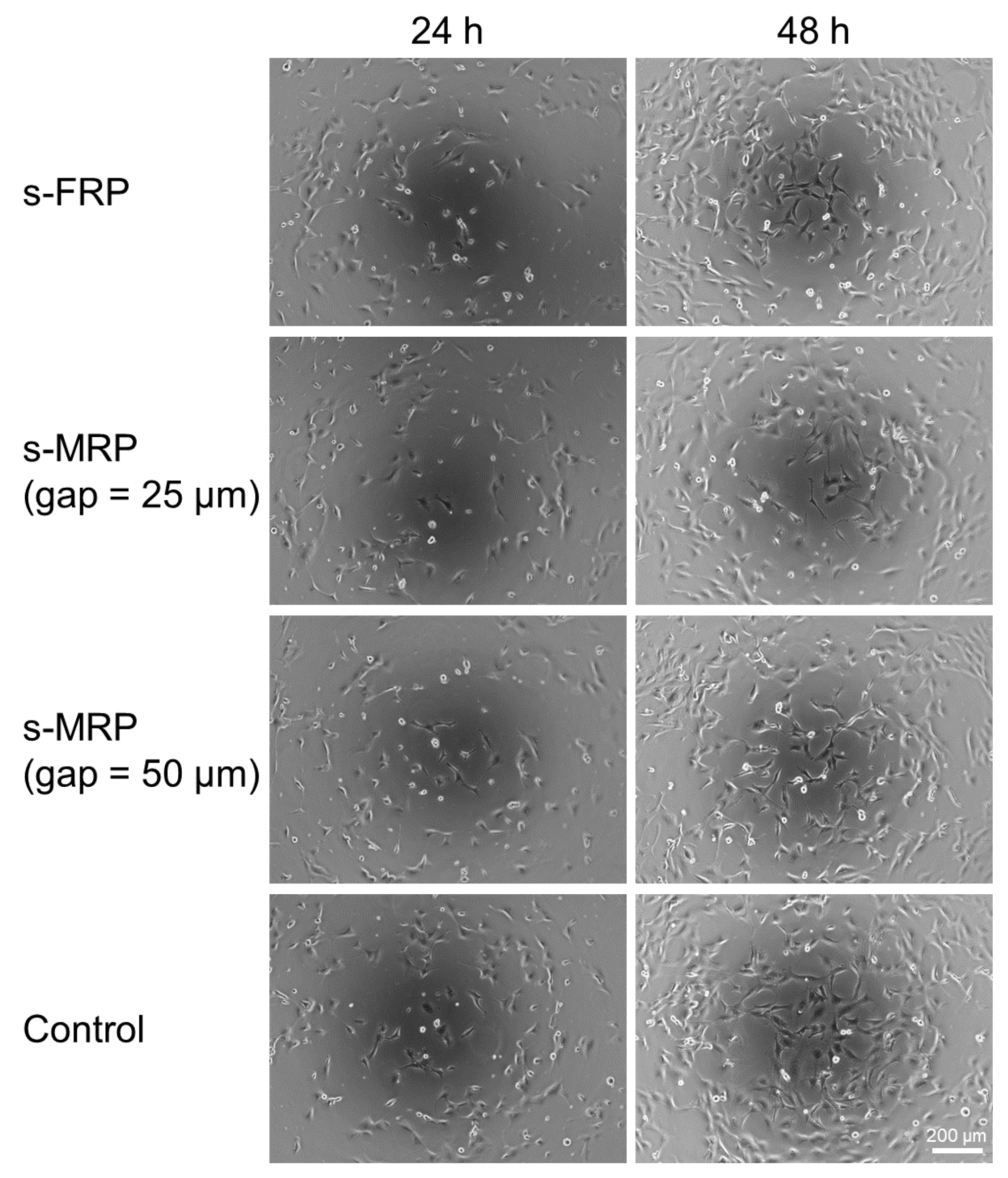 Micromachines 11 00447 g006