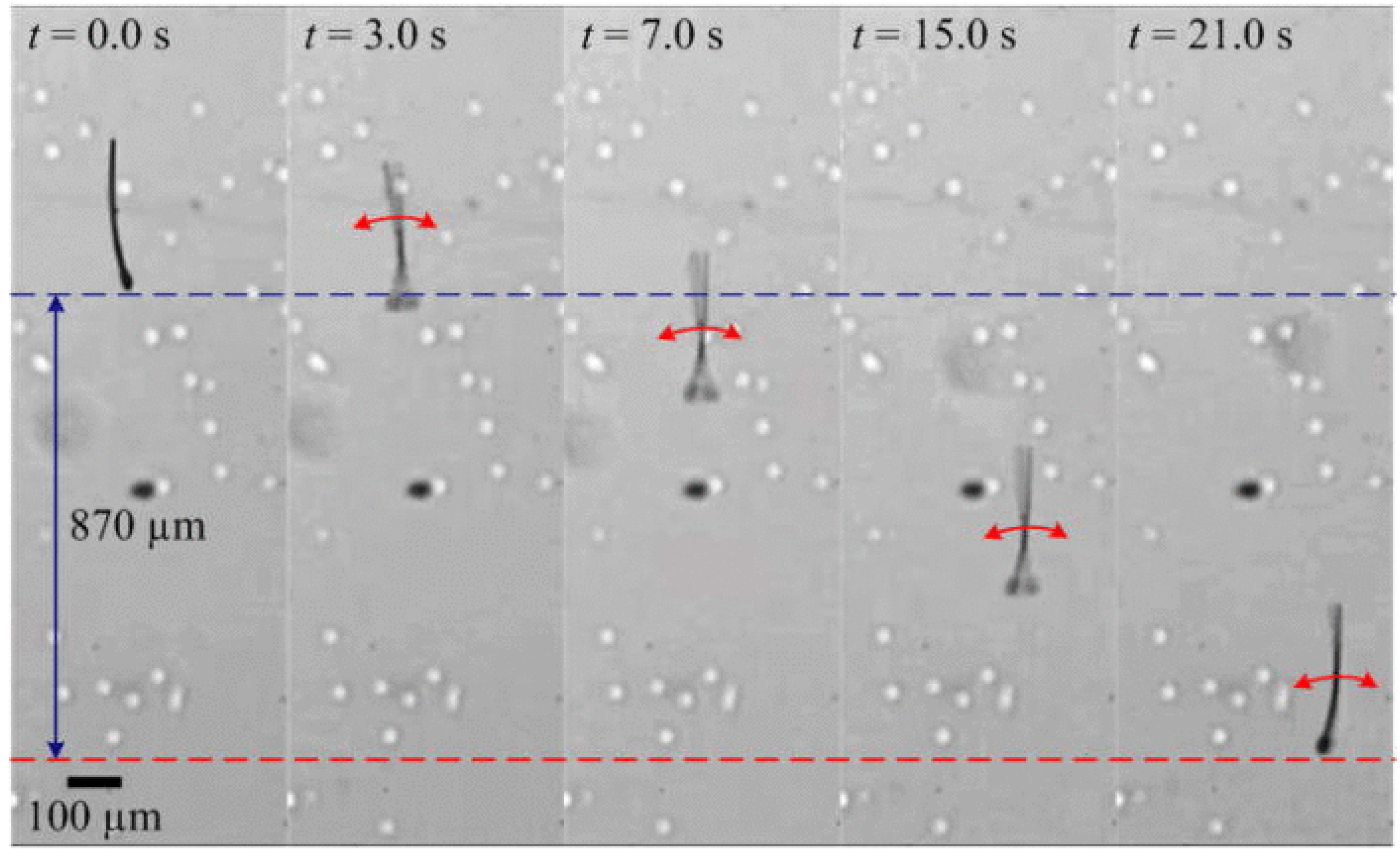 Micromachines 11 00448 g006 Micromachines 11 00448 g006