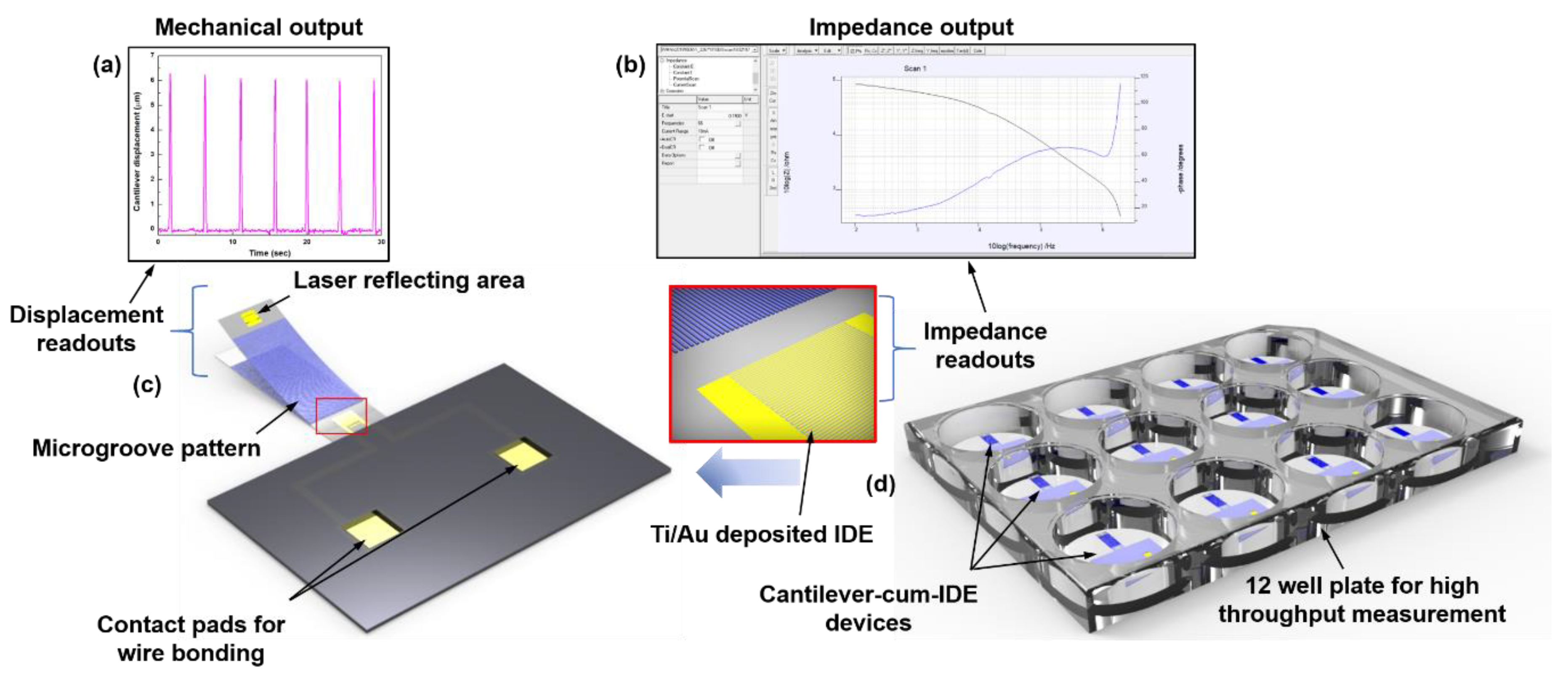Micromachines 11 00450 g001
