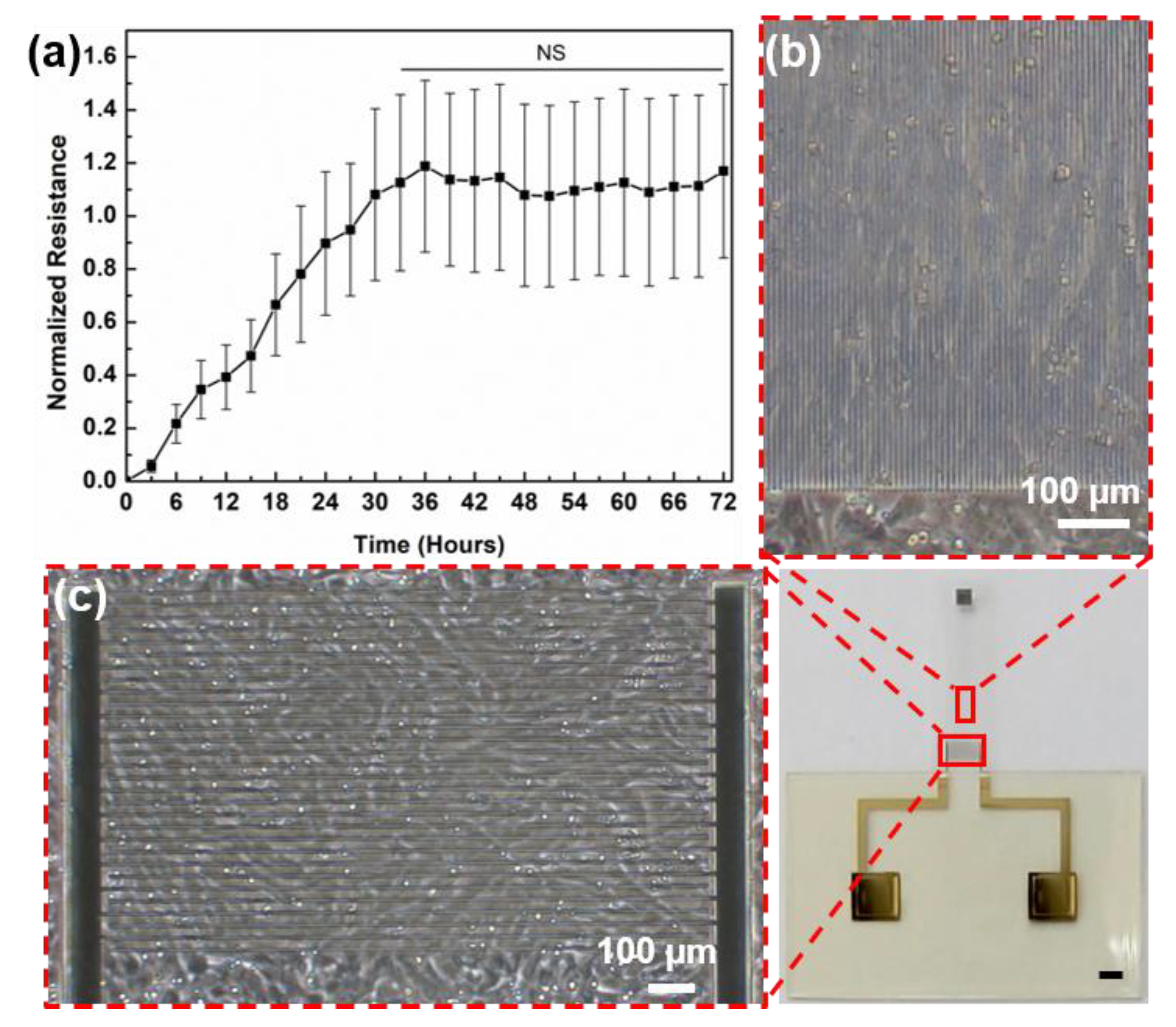 Micromachines 11 00450 g004