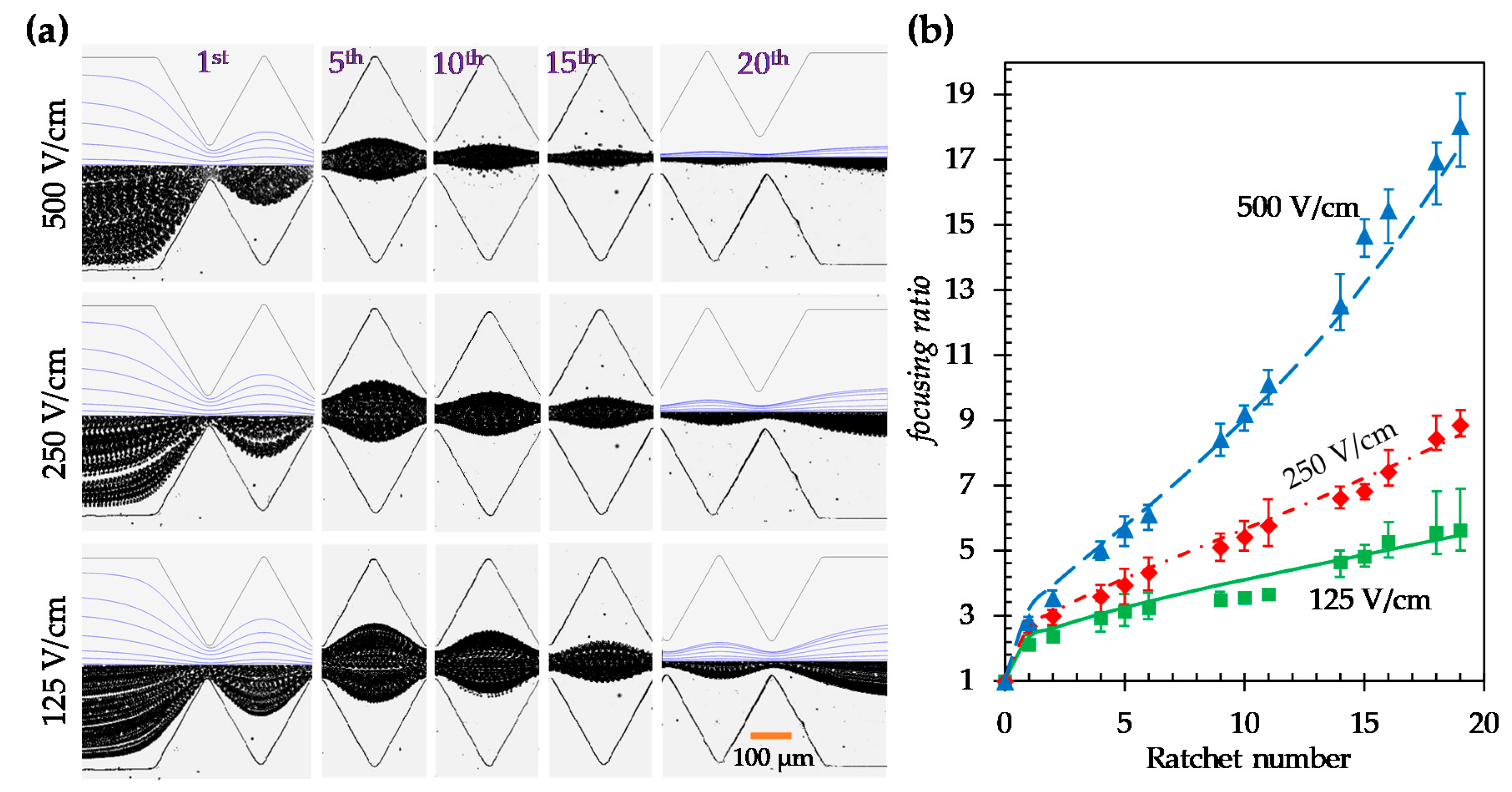 Micromachines 11 00451 g004 Micromachines 11 00451 g004