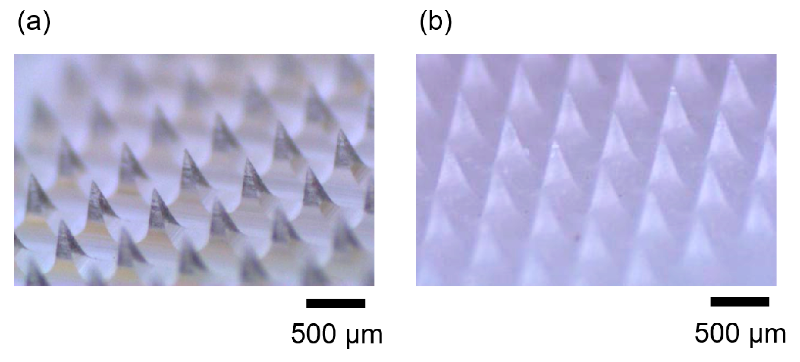 Micromachines 11 00452 g007