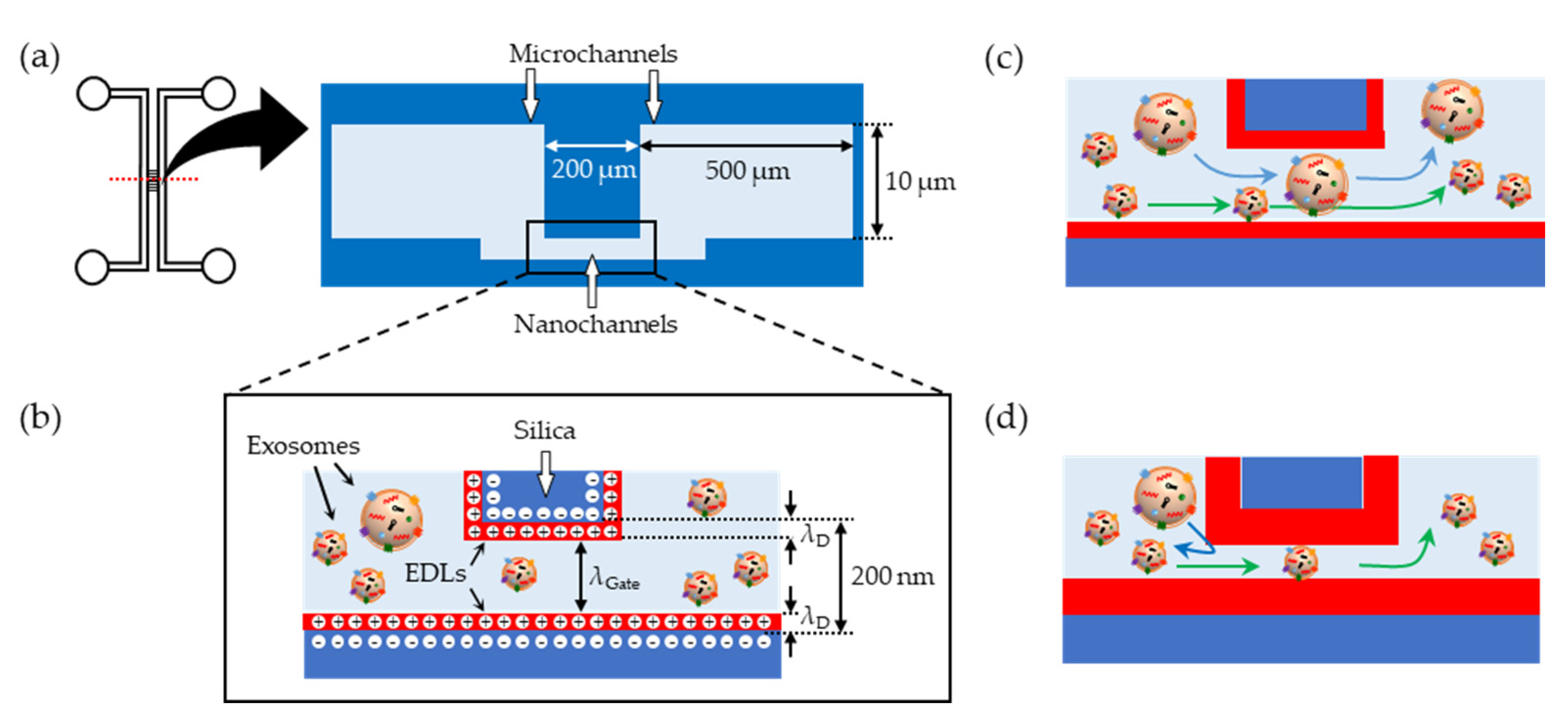 Micromachines 11 00458 g001 Micromachines 11 00458 g001