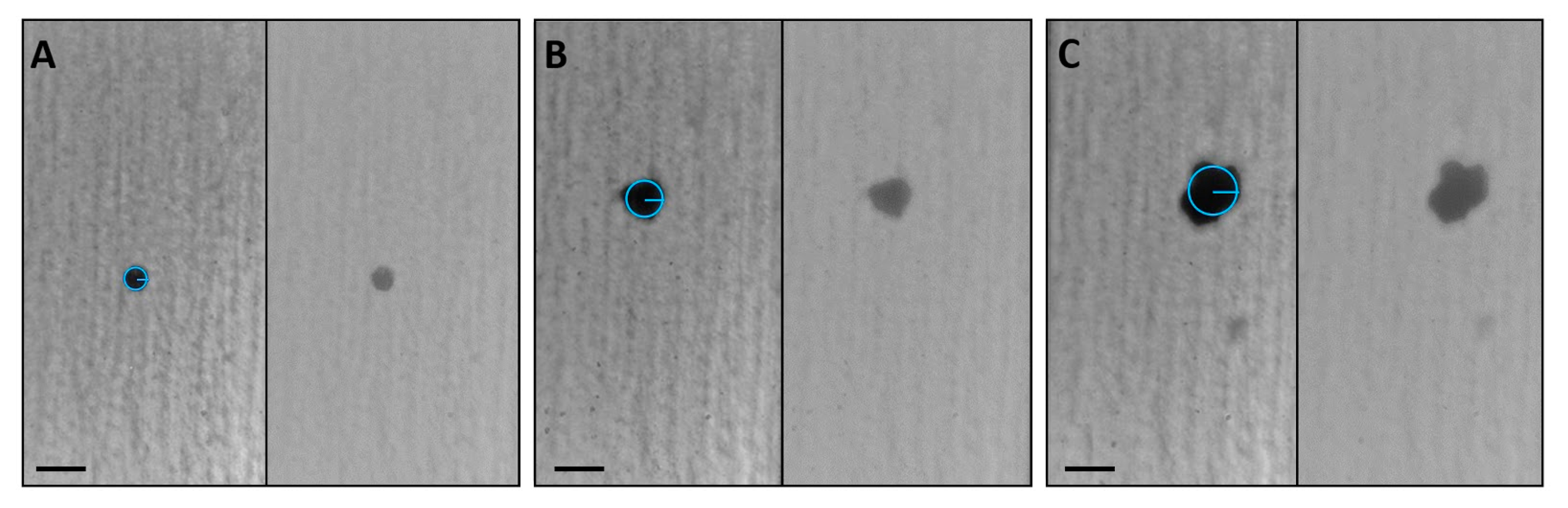 Micromachines 11 00465 g004 Micromachines 11 00465 g004