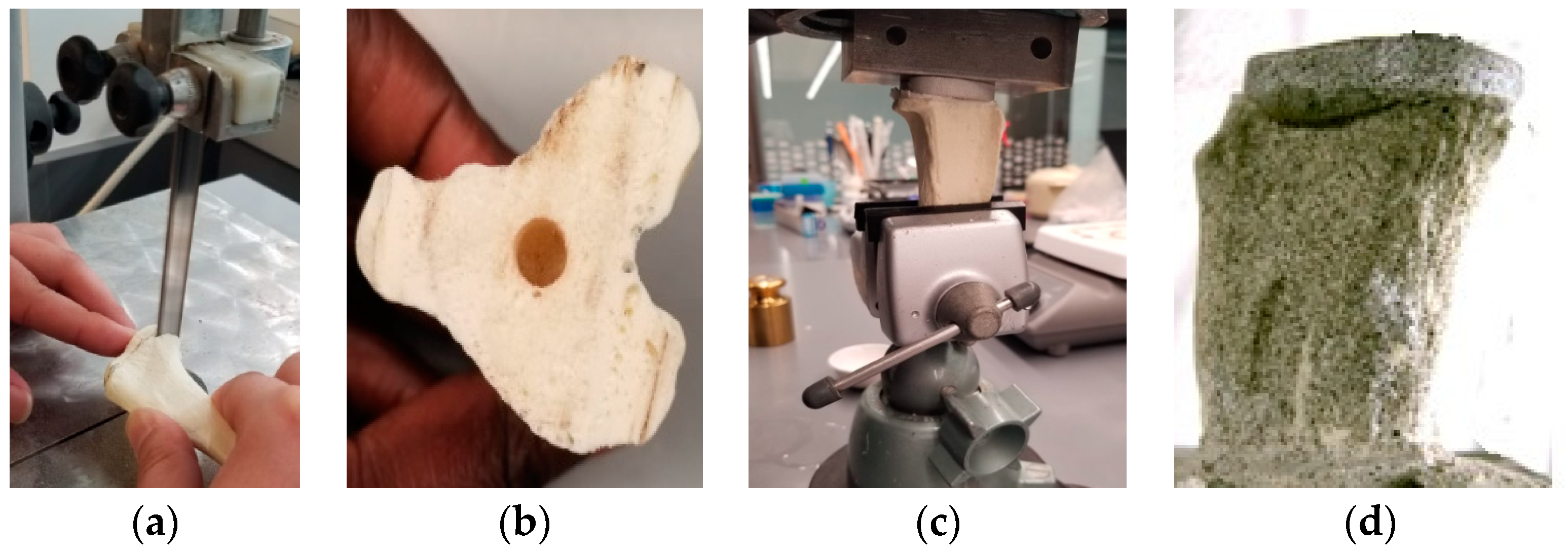 Micromachines 11 00466 g003 Micromachines 11 00466 g003