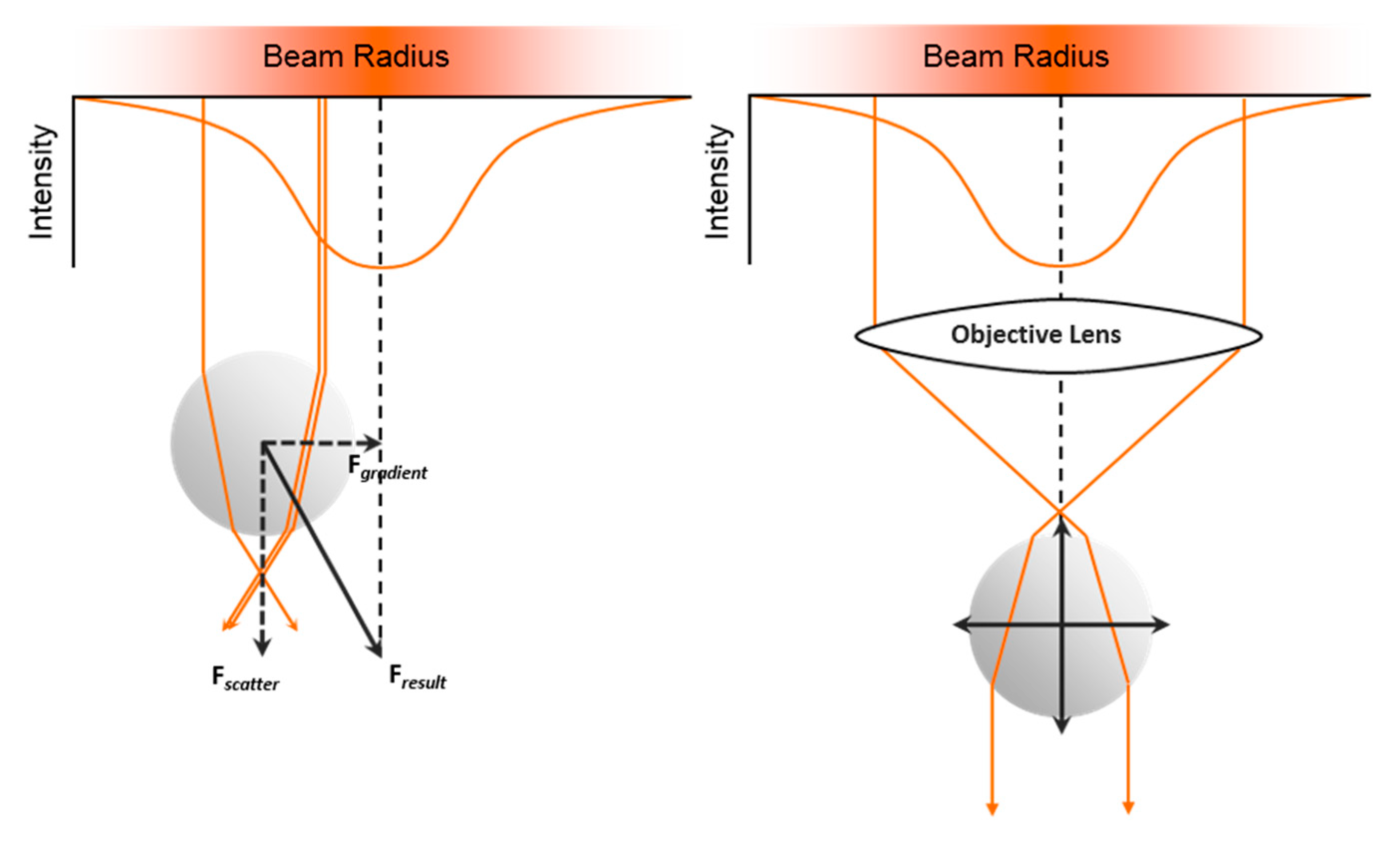 Micromachines 11 00468 g008