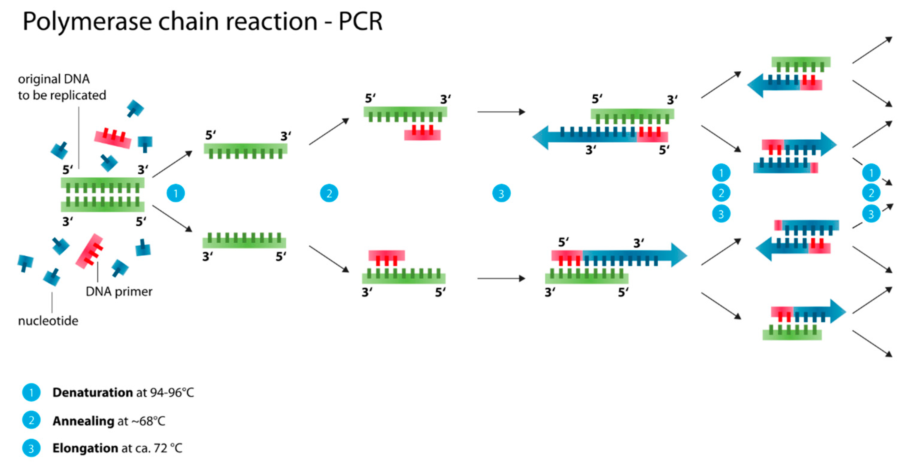 Micromachines 11 00468 g011
