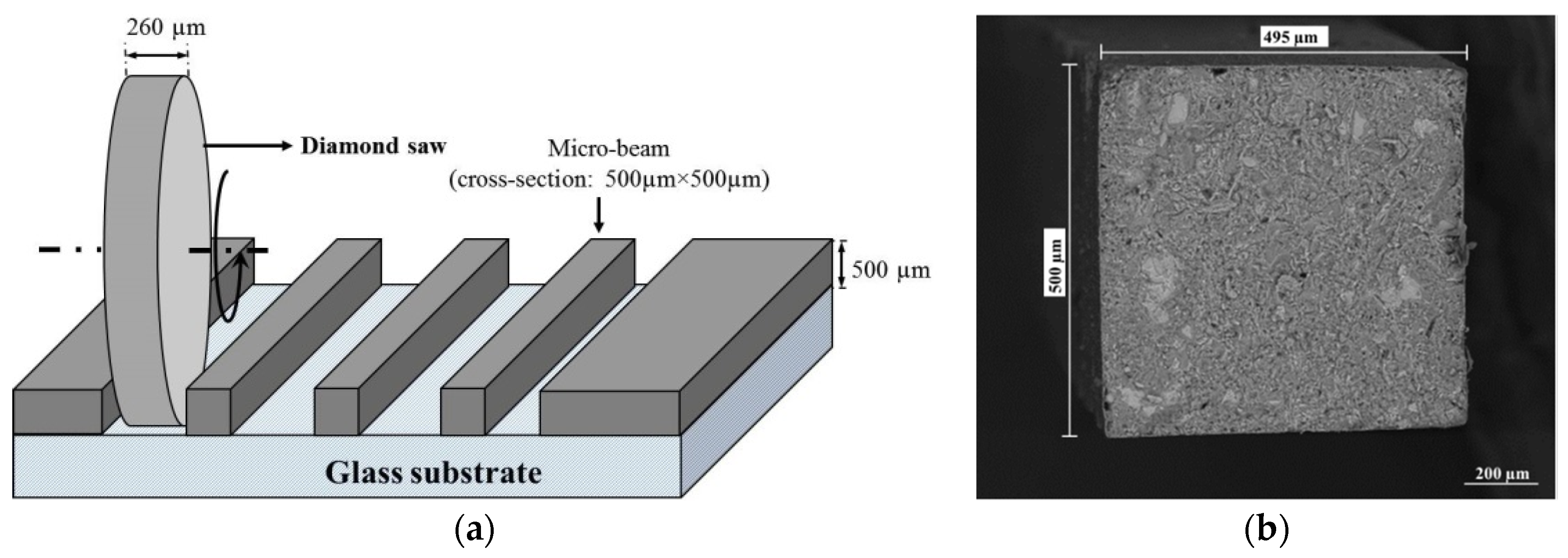Micromachines 11 00471 g001 Micromachines 11 00471 g001