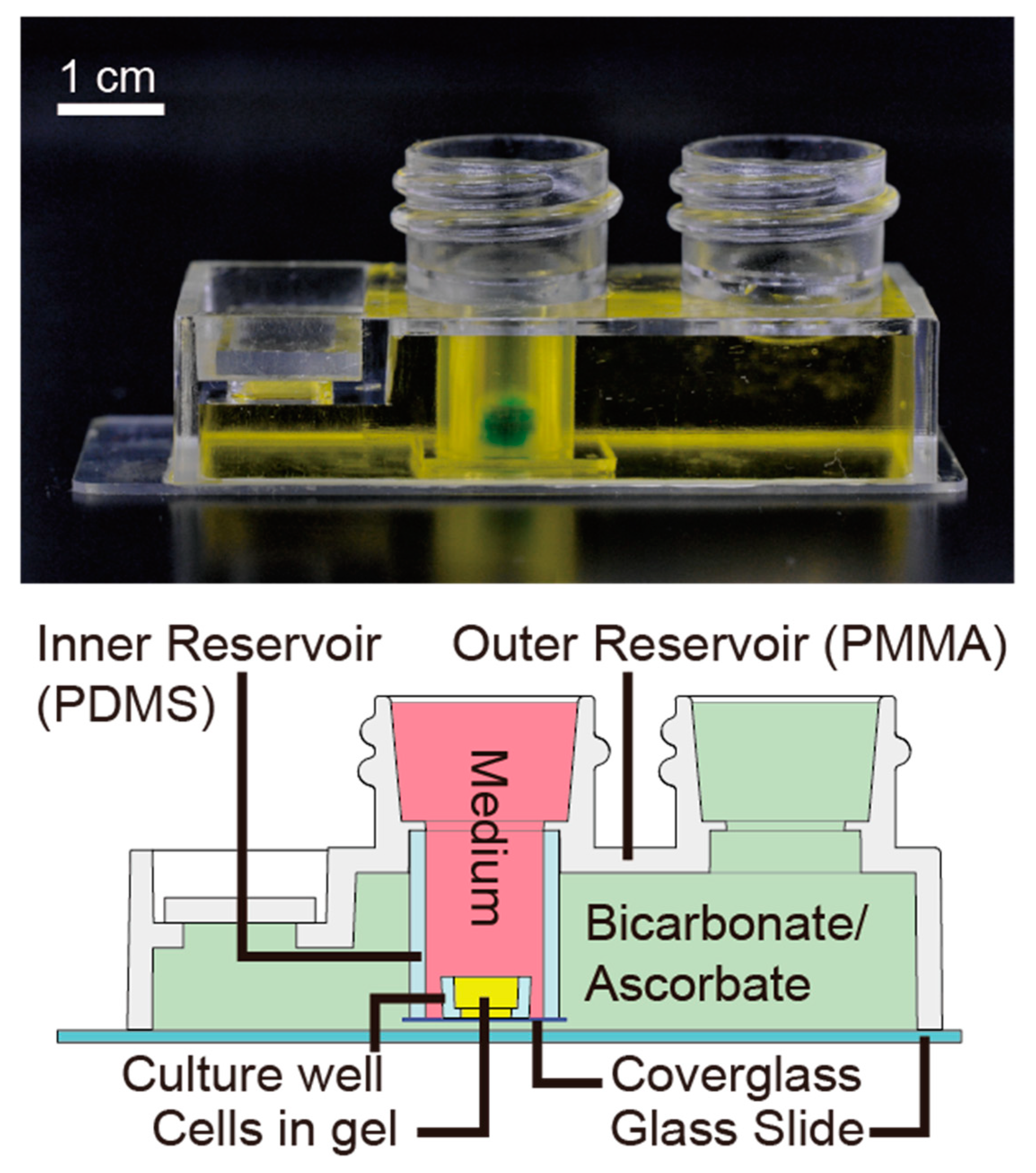 Micromachines 11 00475 g001