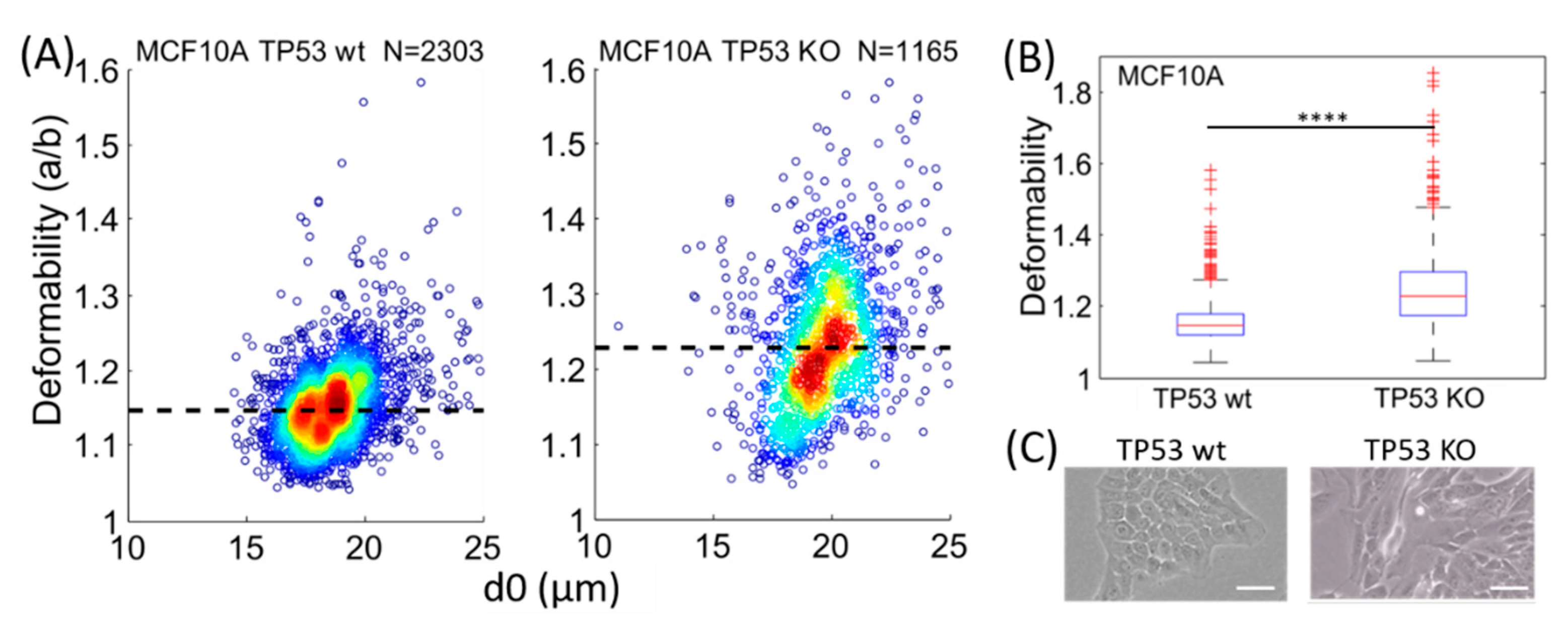 Micromachines 11 00486 g004
