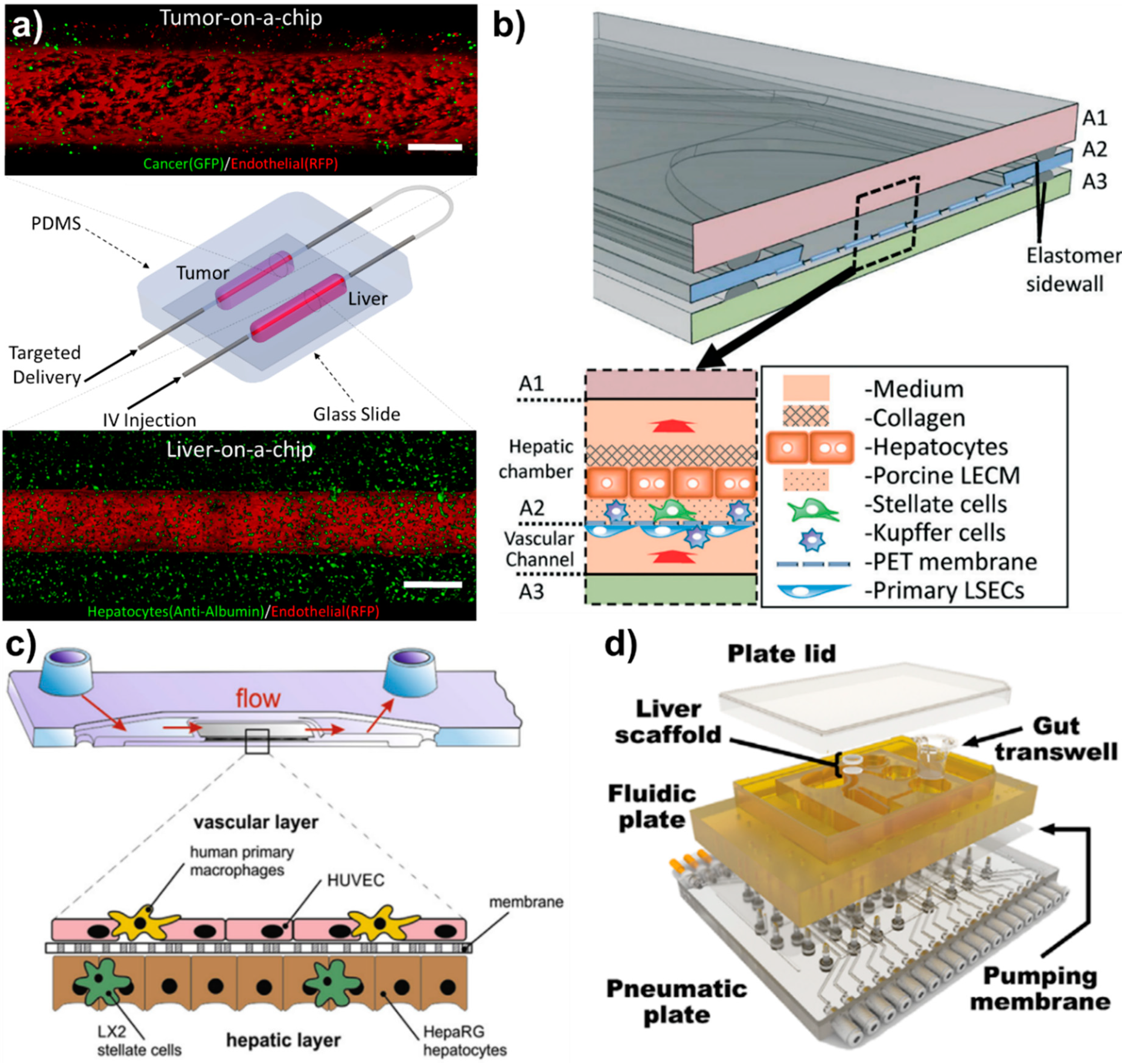 Micromachines 11 00487 g002 Micromachines 11 00487 g002