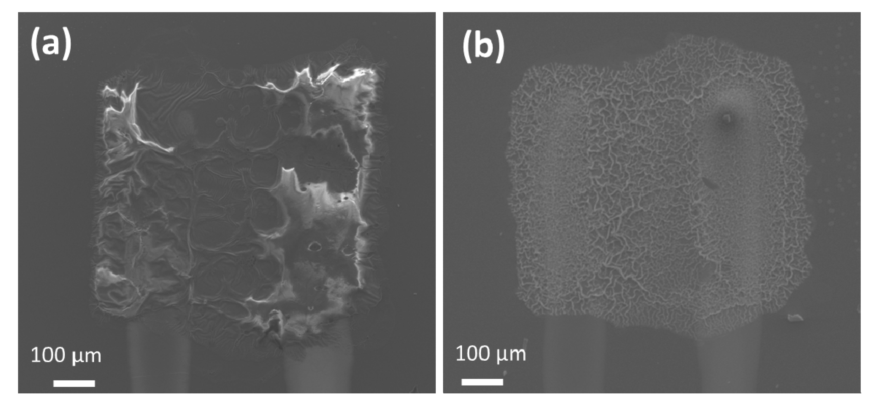 Micromachines 11 00490 g0a2 Micromachines 11 00490 g0a2