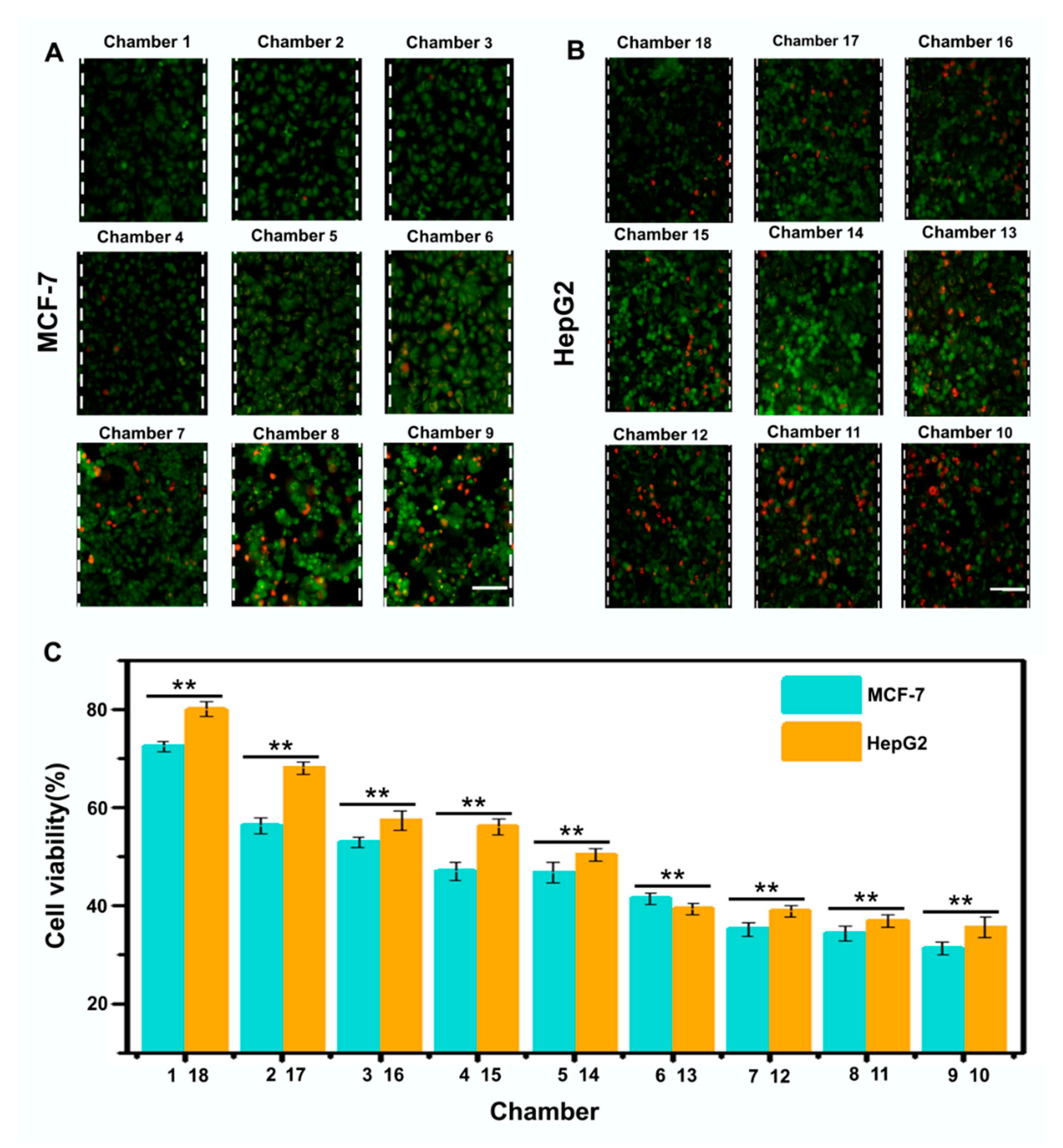 Micromachines 11 00493 g006