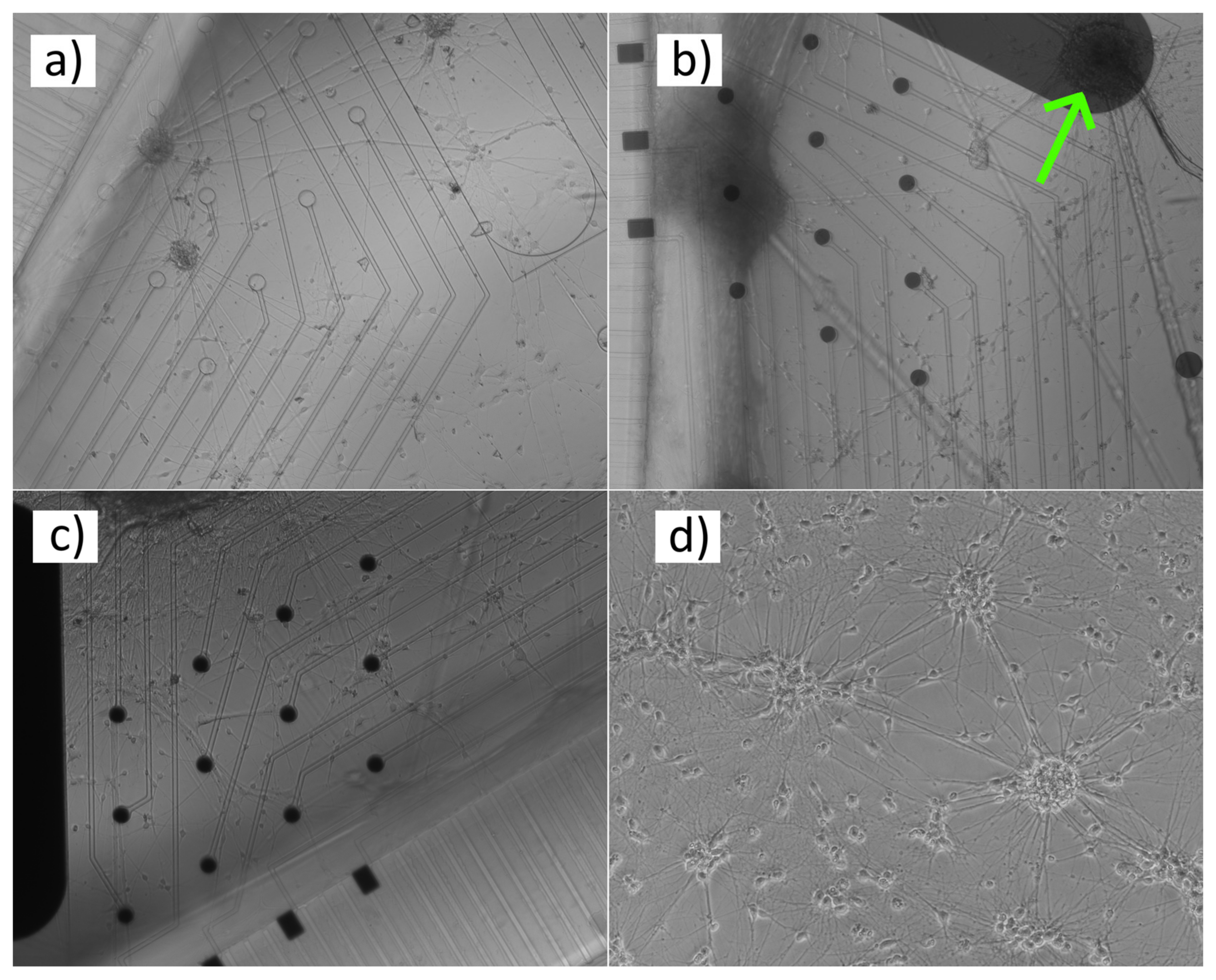 Micromachines 11 00497 g004 Micromachines 11 00497 g004