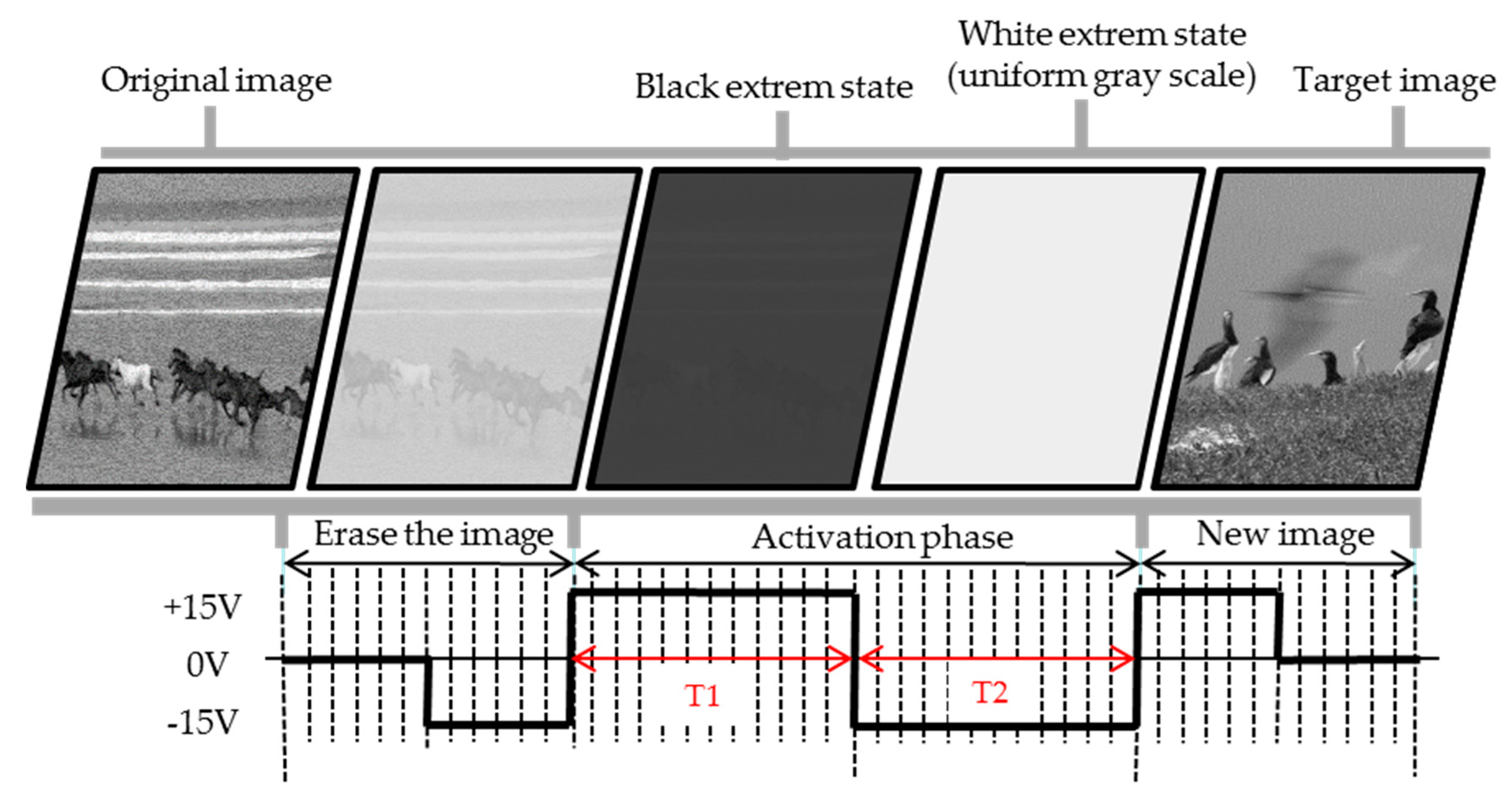 Micromachines 11 00498 g002