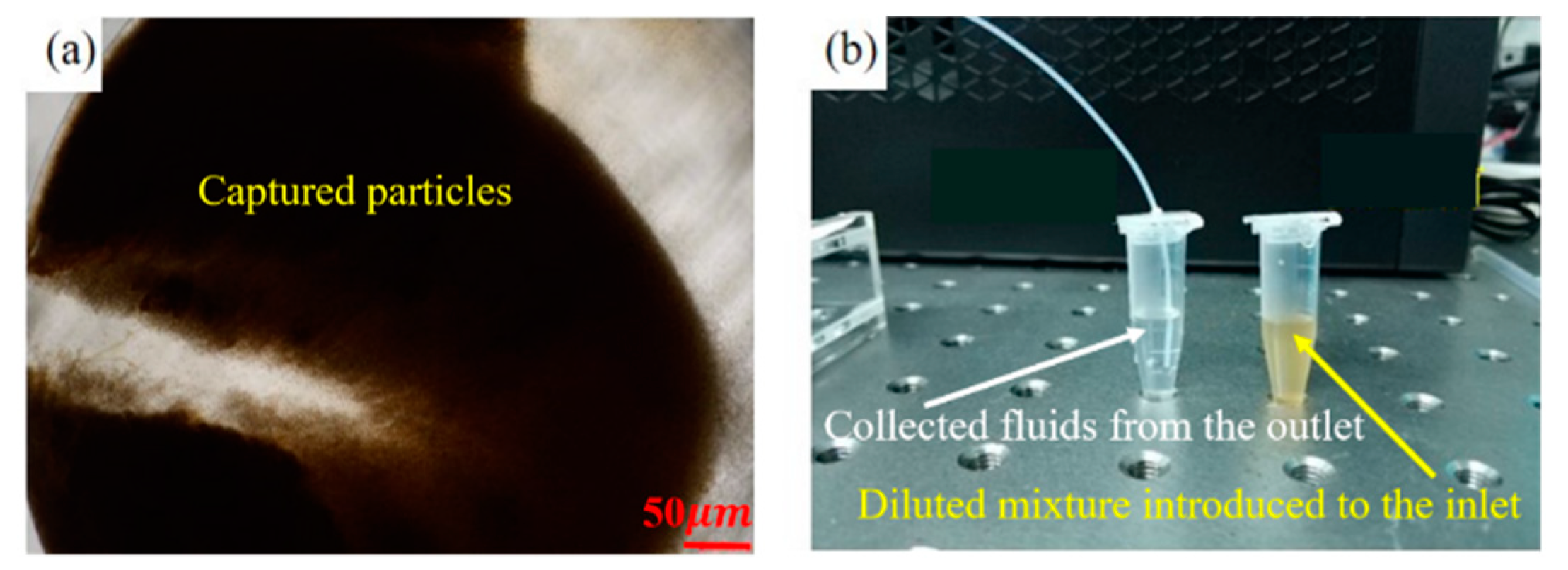 Micromachines 11 00503 g007