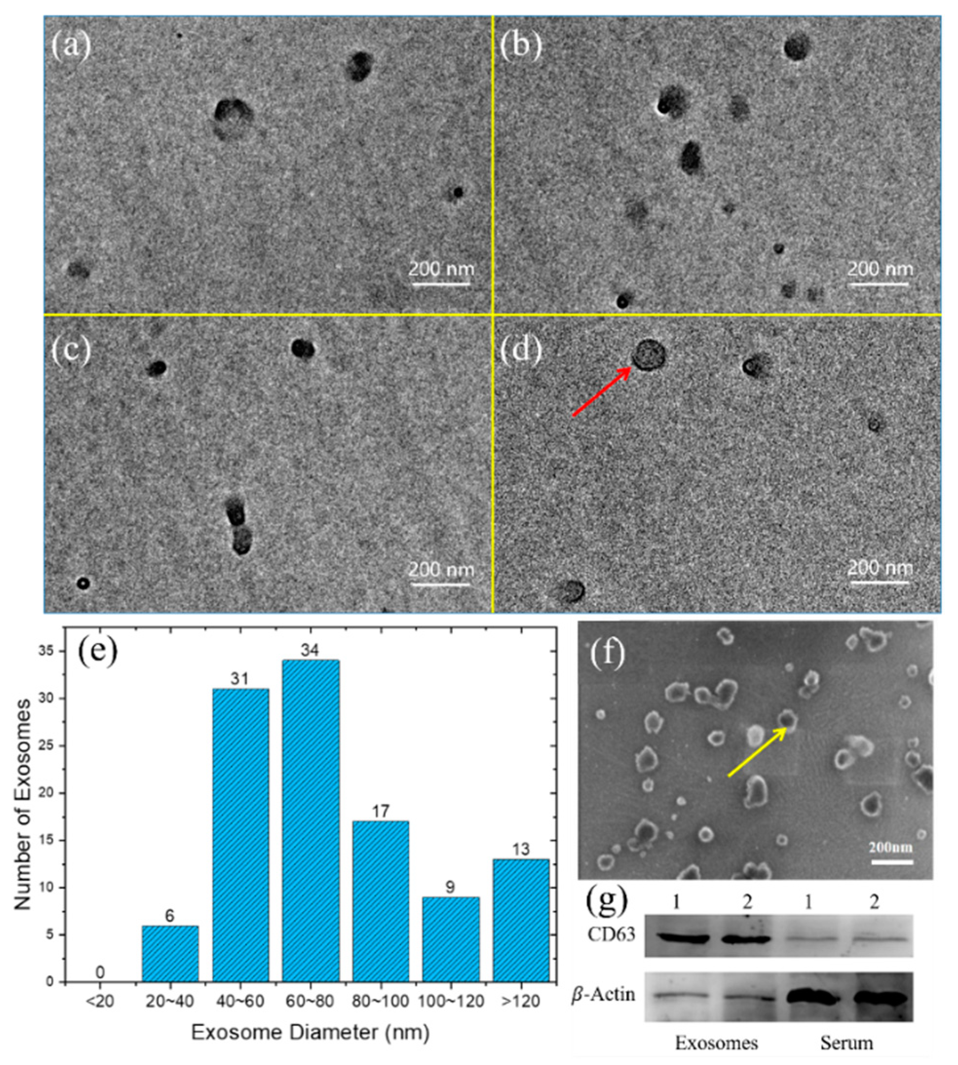 Micromachines 11 00503 g010