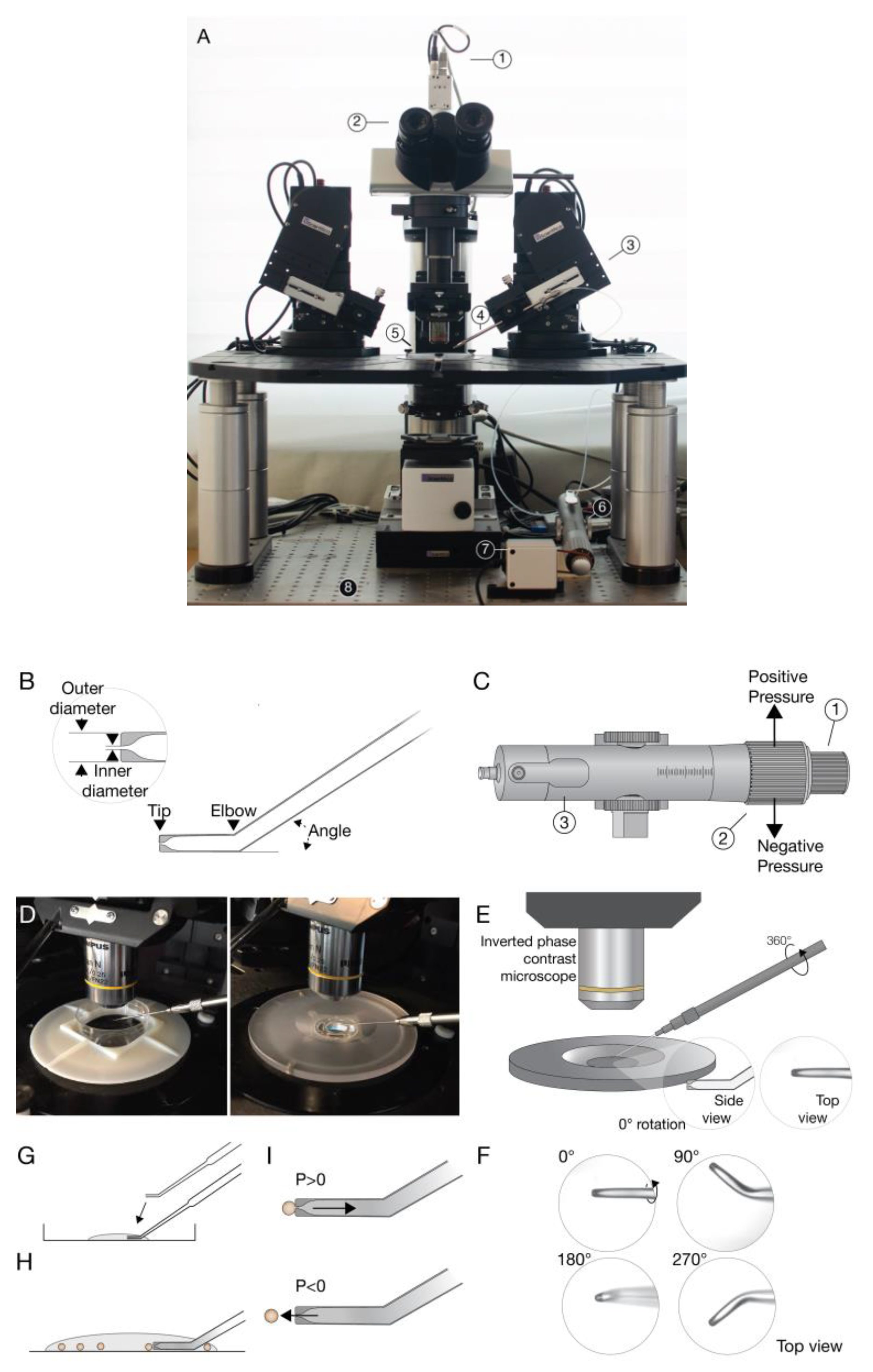 Micromachines 11 00505 g001