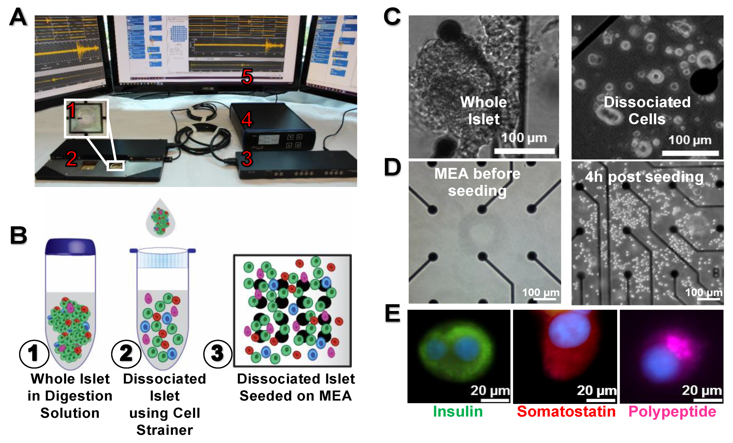 Micromachines 11 00507 g001 Micromachines 11 00507 g001