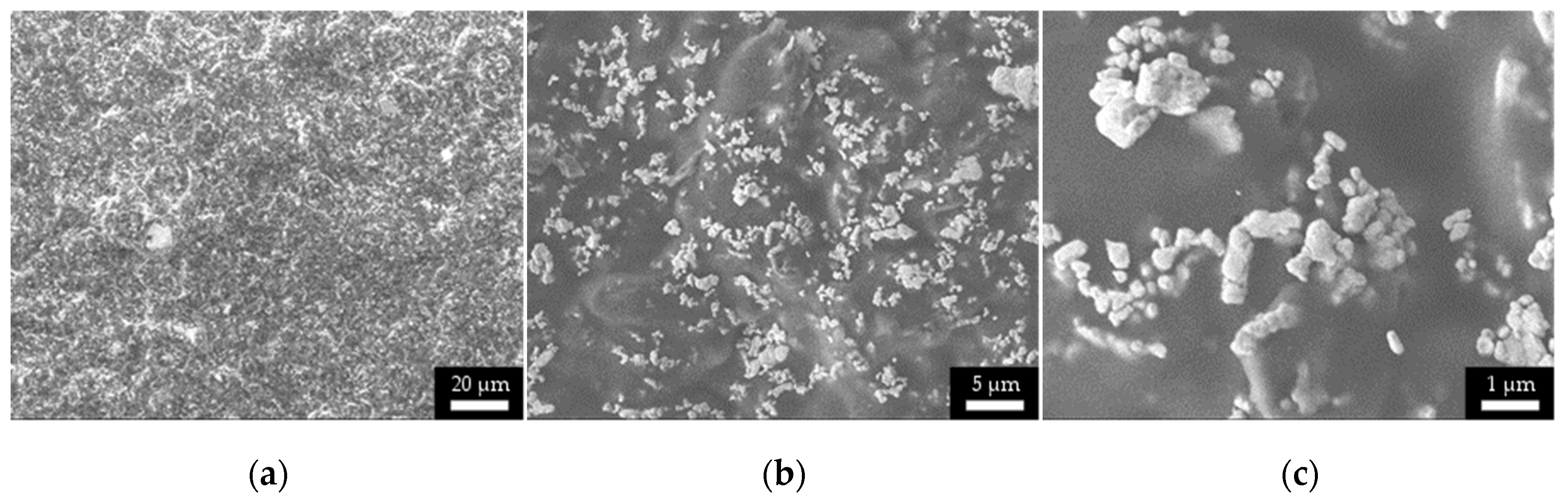 Micromachines 11 00509 g005 Micromachines 11 00509 g005