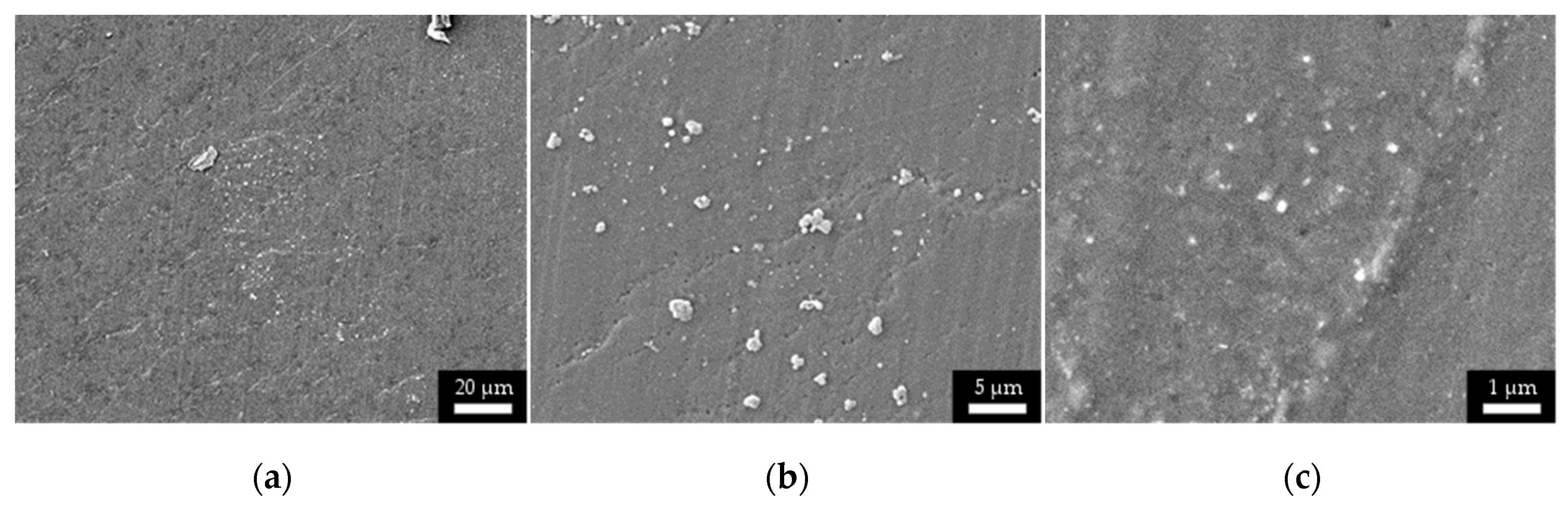 Micromachines 11 00509 g006 Micromachines 11 00509 g006