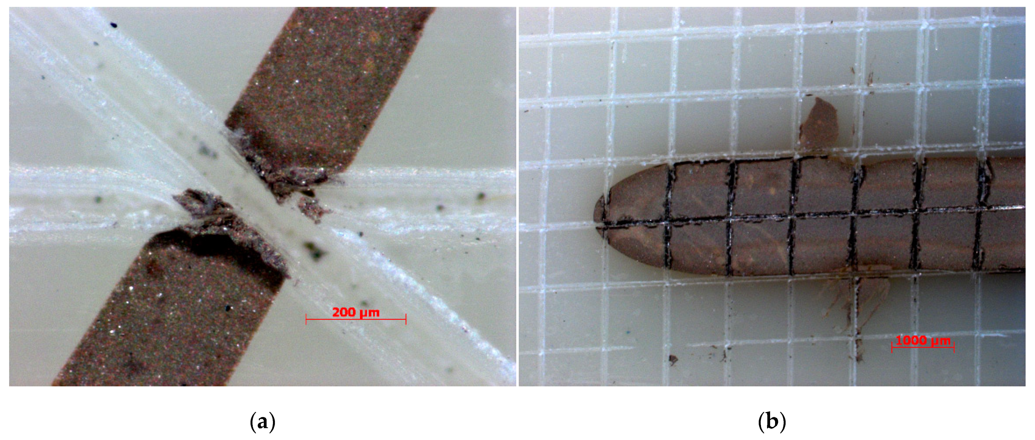 Micromachines 11 00509 g010 Micromachines 11 00509 g010