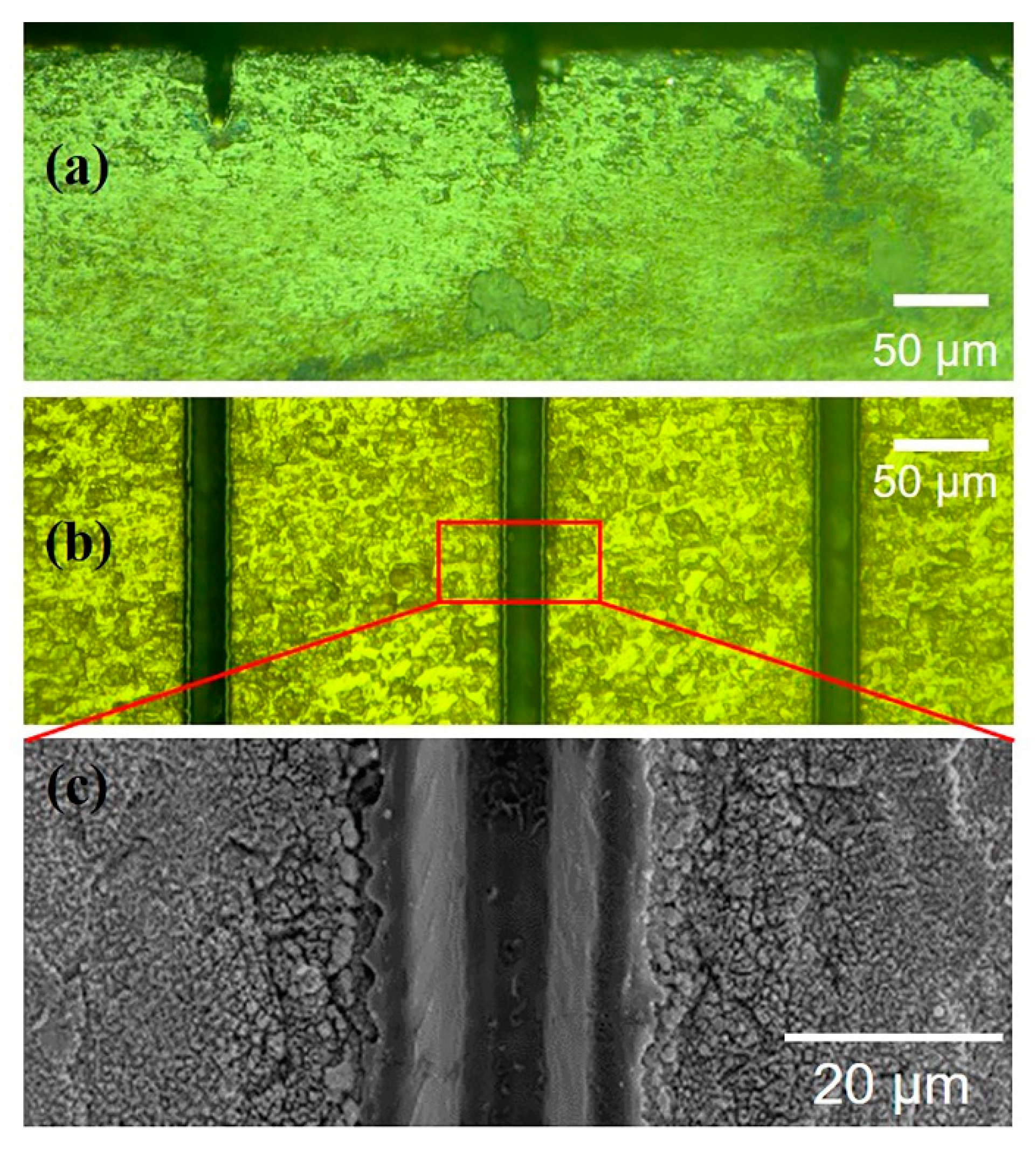 Micromachines 11 00512 g002