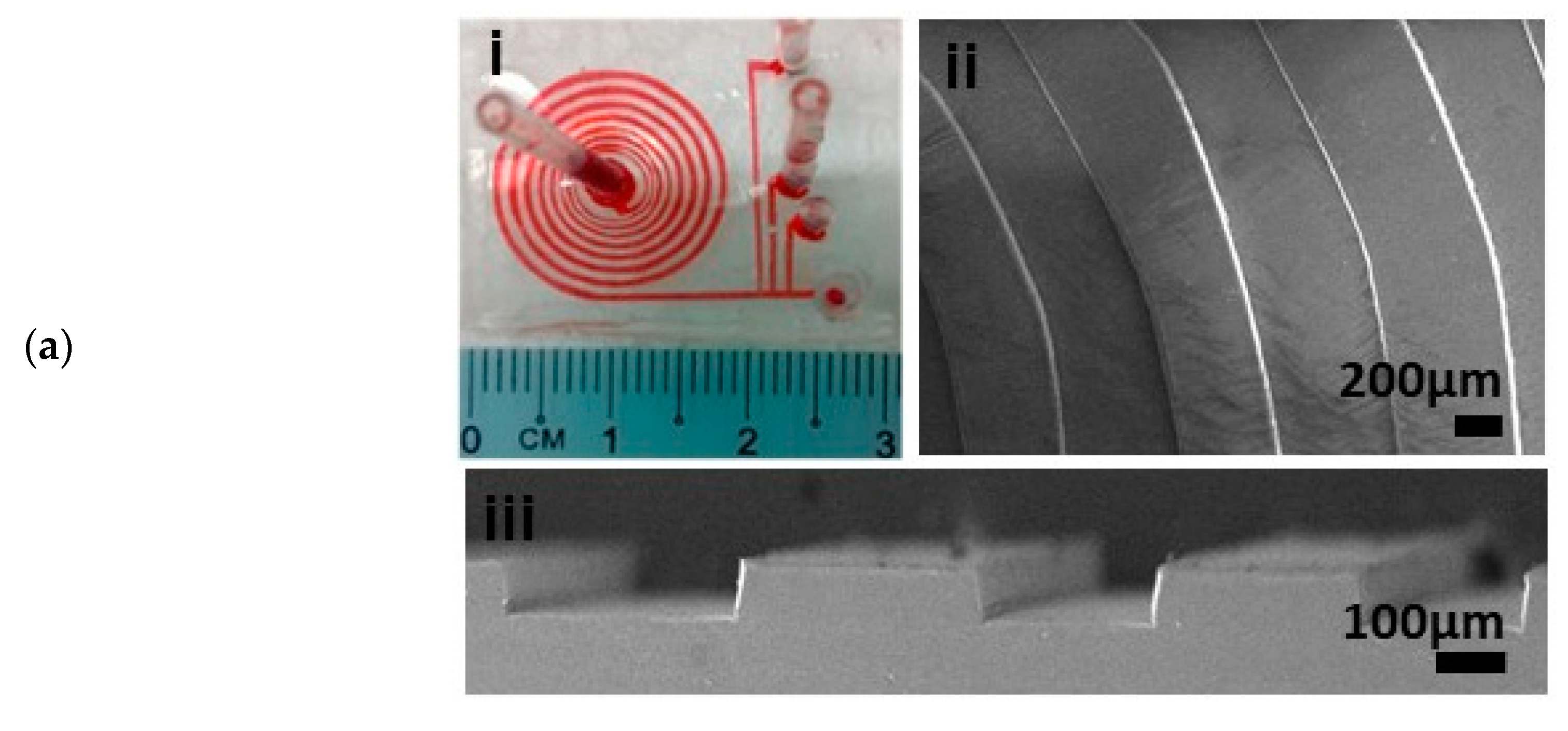 Micromachines 11 00514 g001a Micromachines 11 00514 g001a