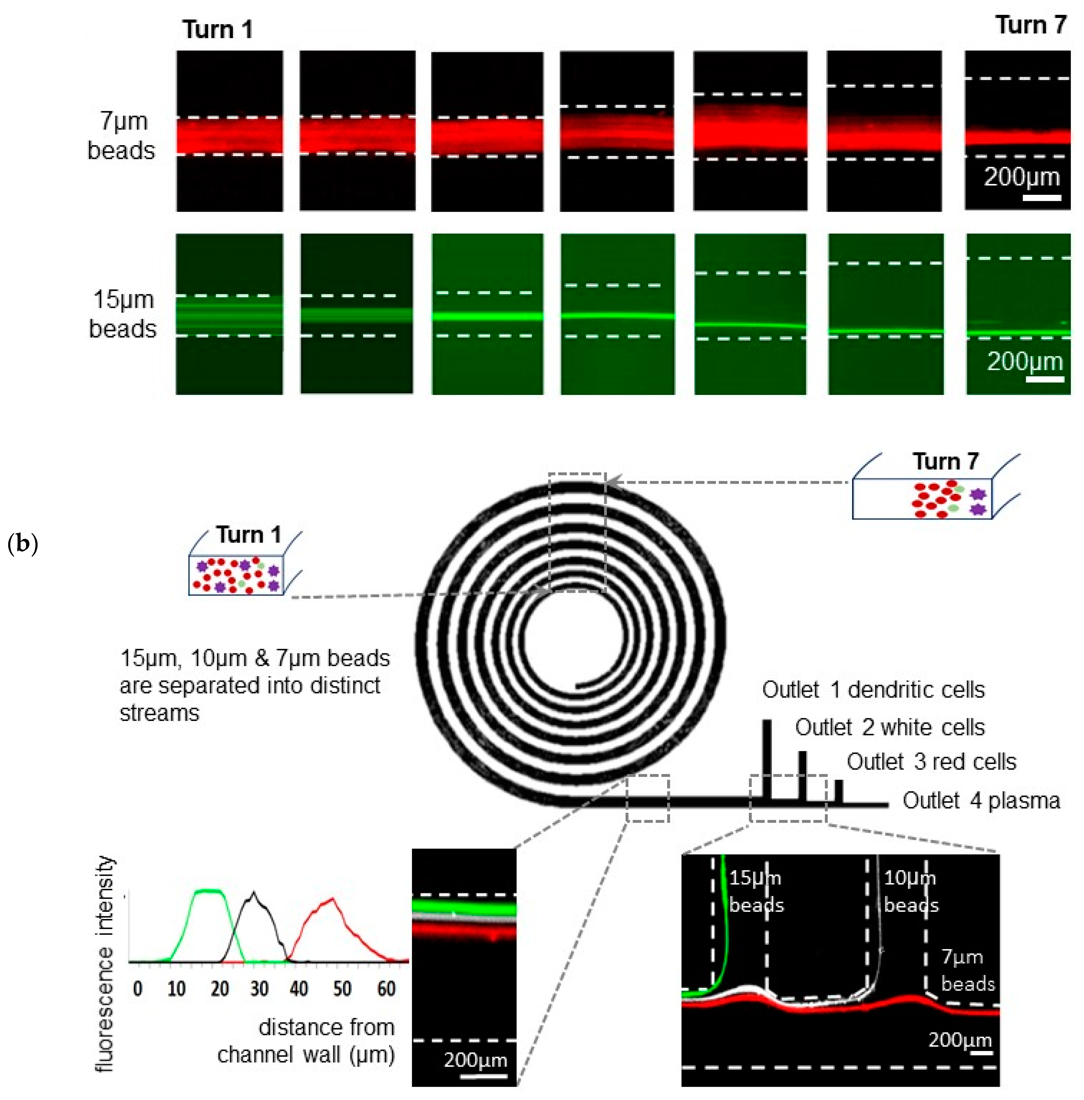 Micromachines 11 00514 g001b Micromachines 11 00514 g001b