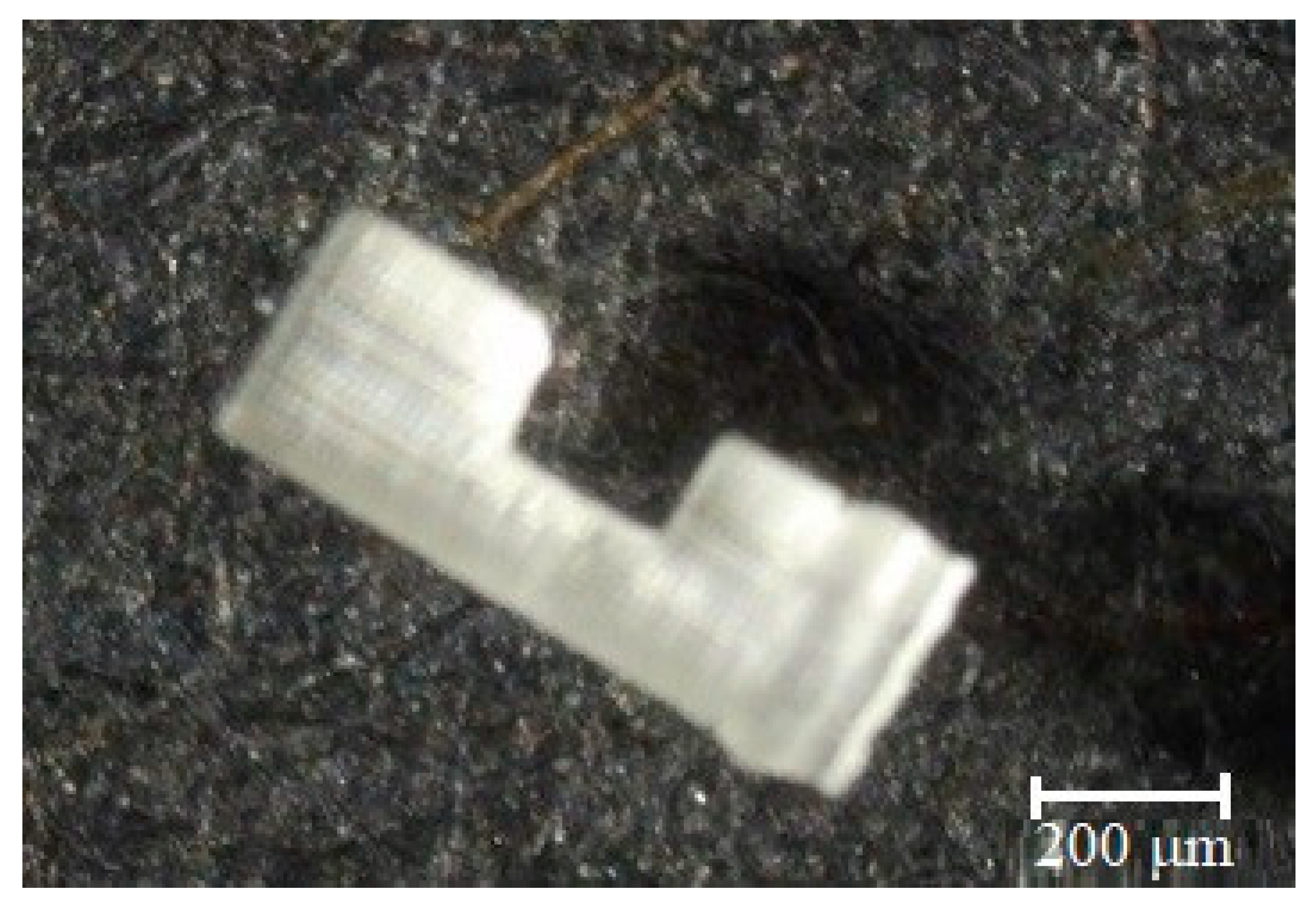 Micromachines 11 00518 g006