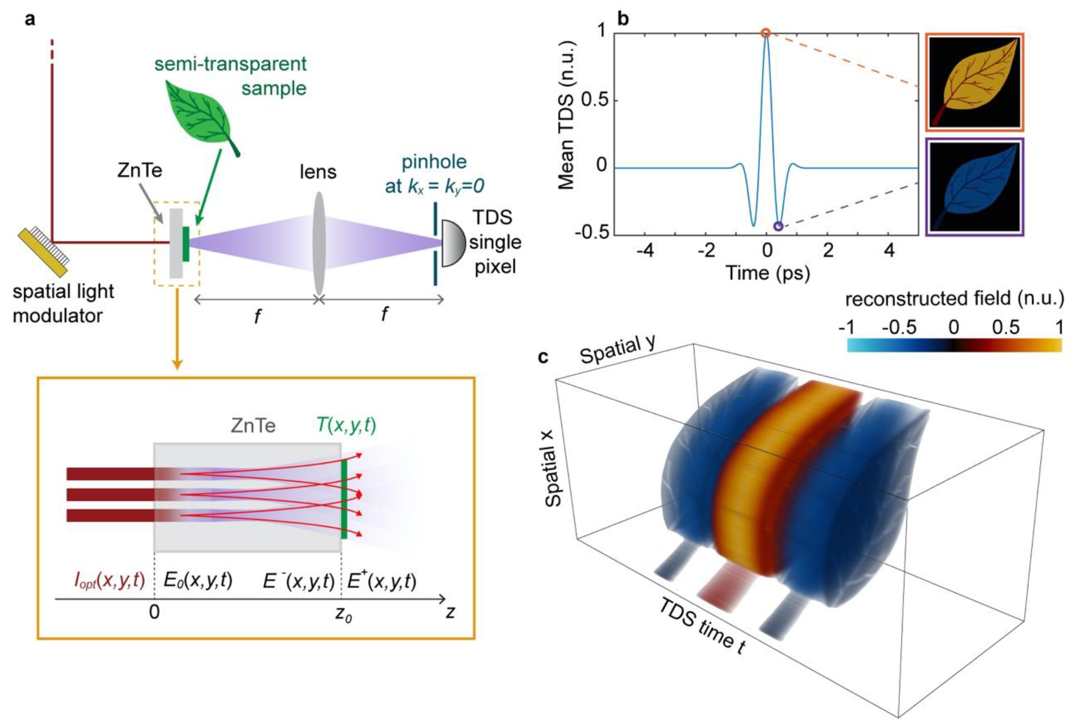 Micromachines Free Full Text Route To Intelligent Imaging Reconstruction Via Terahertz Nonlinear Ghost Imaging Html Micromachines Free Full Text Route To Intelligent Imaging Reconstruction Via Terahertz Nonlinear Ghost Imaging Html