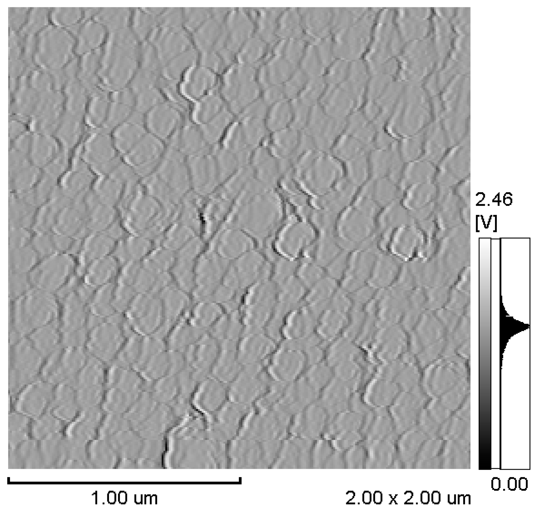 Micromachines 11 00523 g005