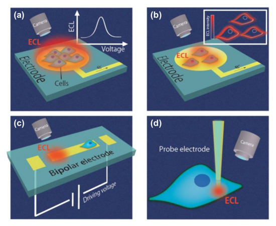 Recent Advances in Electrochemiluminescence-Based Systems