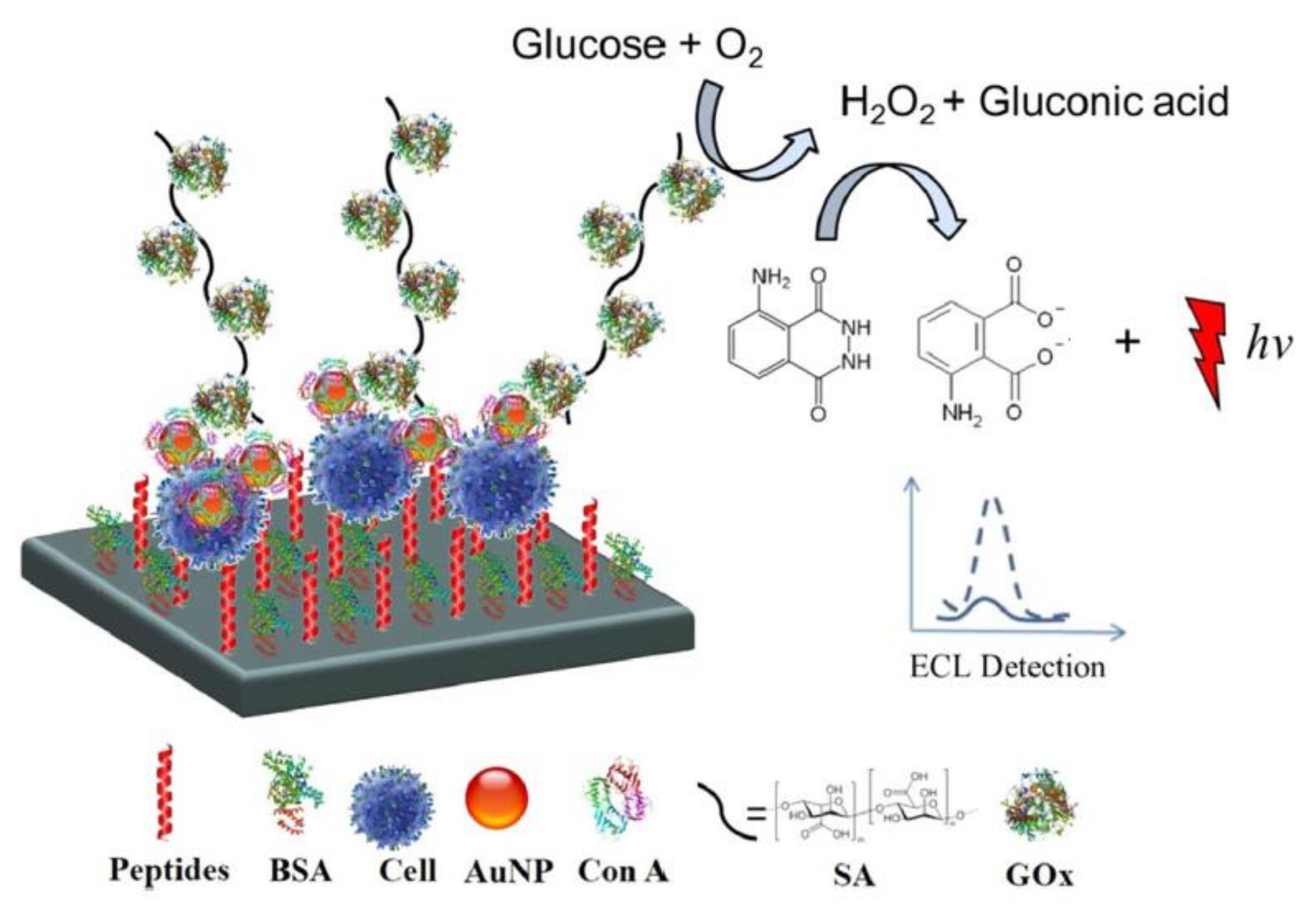 Micromachines 11 00530 g006