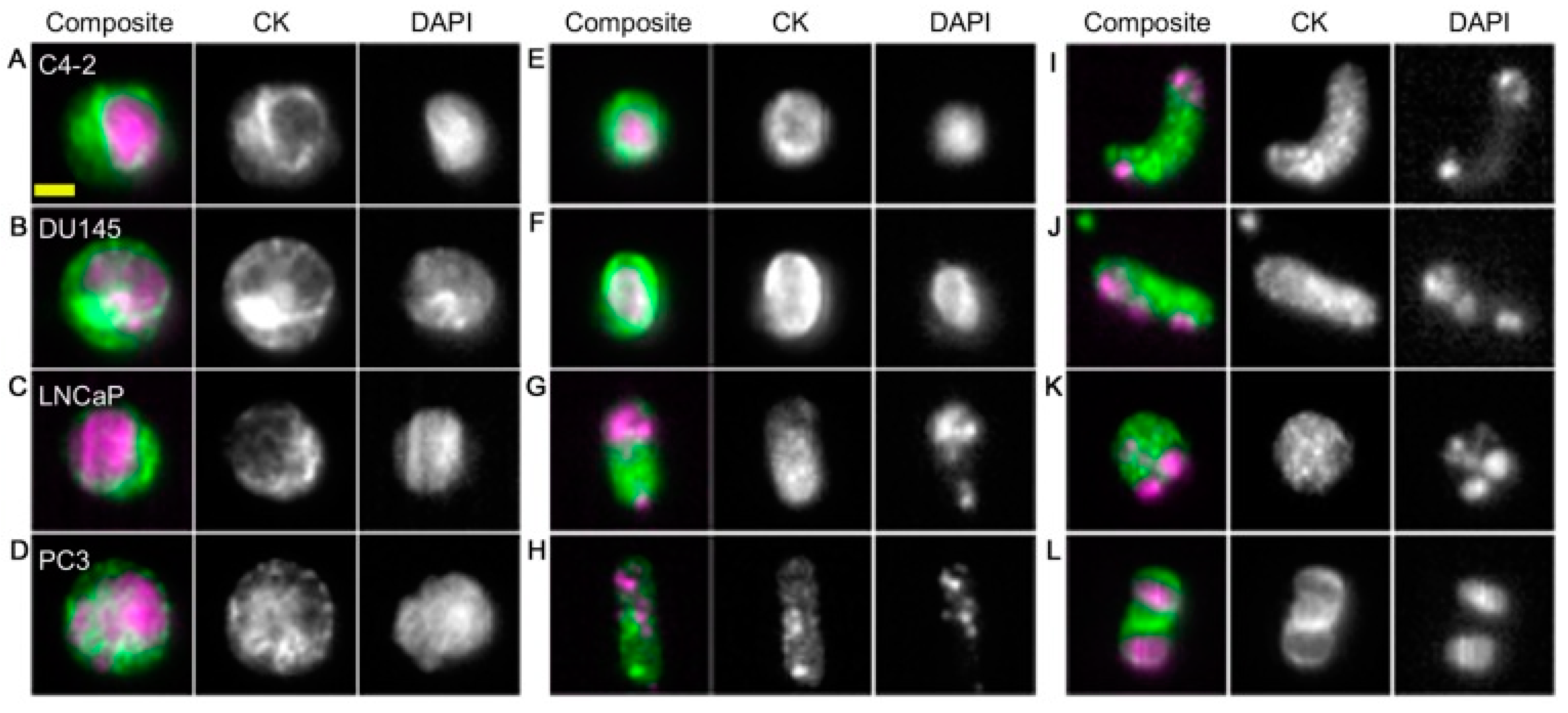 Micromachines 11 00531 g003 Micromachines 11 00531 g003