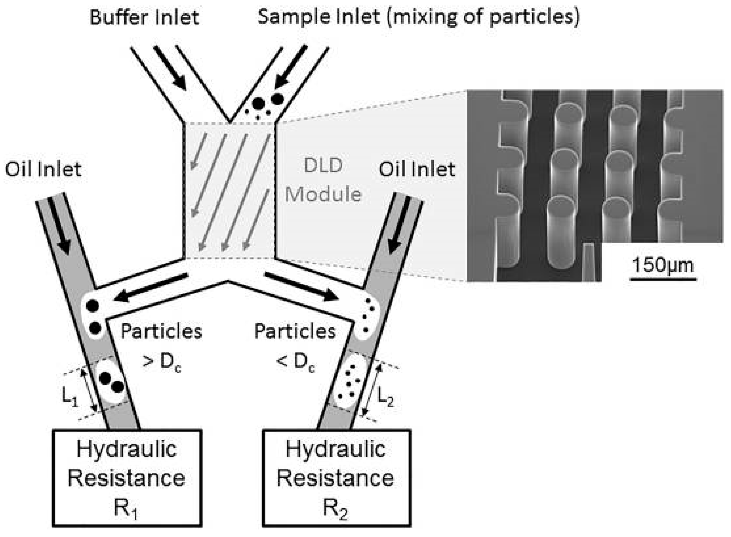 Micromachines 11 00531 g008 Micromachines 11 00531 g008